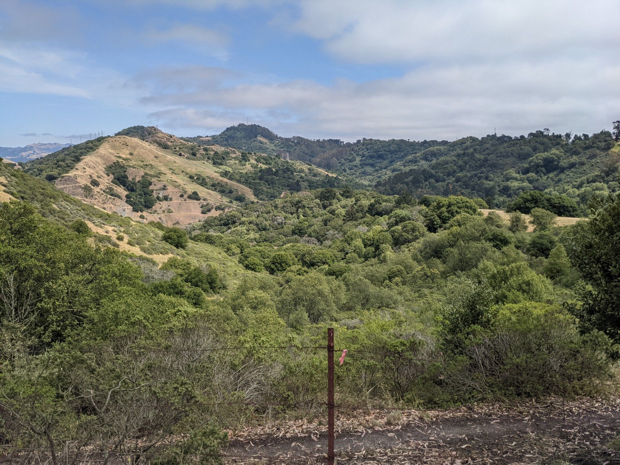 Expansive view of green and golden hills under a partly cloudy sky. - Tilden Park Steam Train – Barberry Peak loop from Redwood Valley Railway