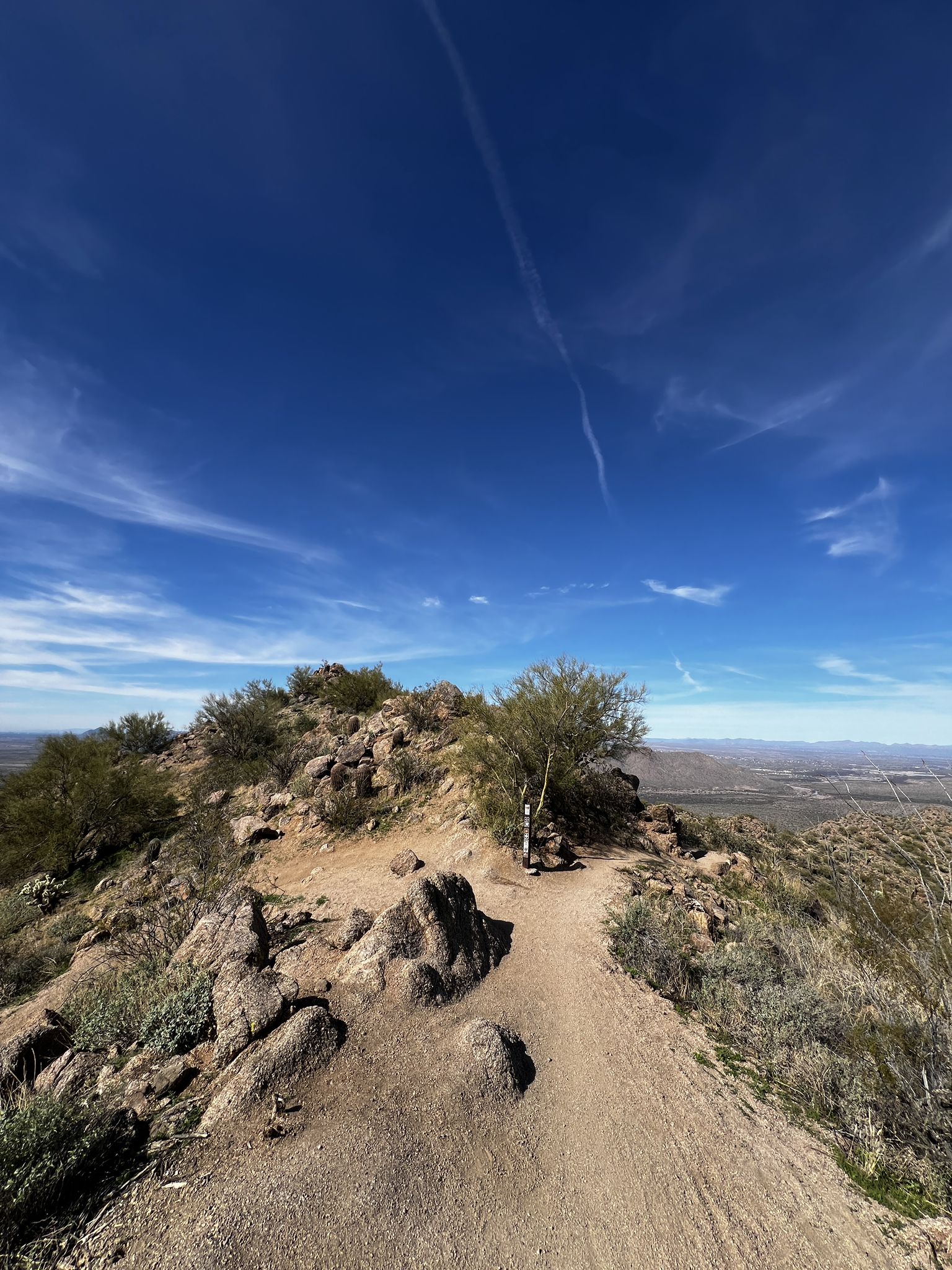 A winding dirt trail on a rocky desert ridge under a bright blue sky. - Hawes Trail System Loop