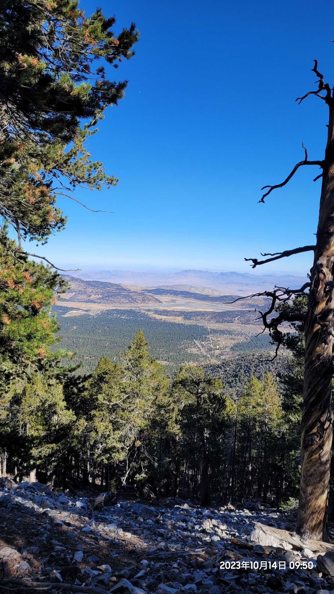 Panoramic view of a forested valley and distant mountains on a clear day. - Sugarloaf Mountain and Wildhorse Creek Loop