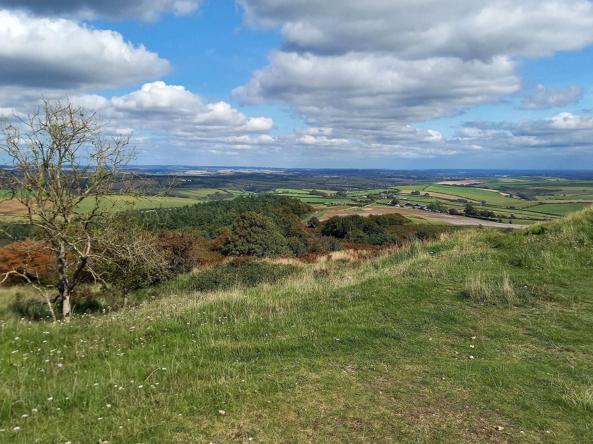 Toller Höhenausblick vom Hardy Monument, wie das nächste Foto