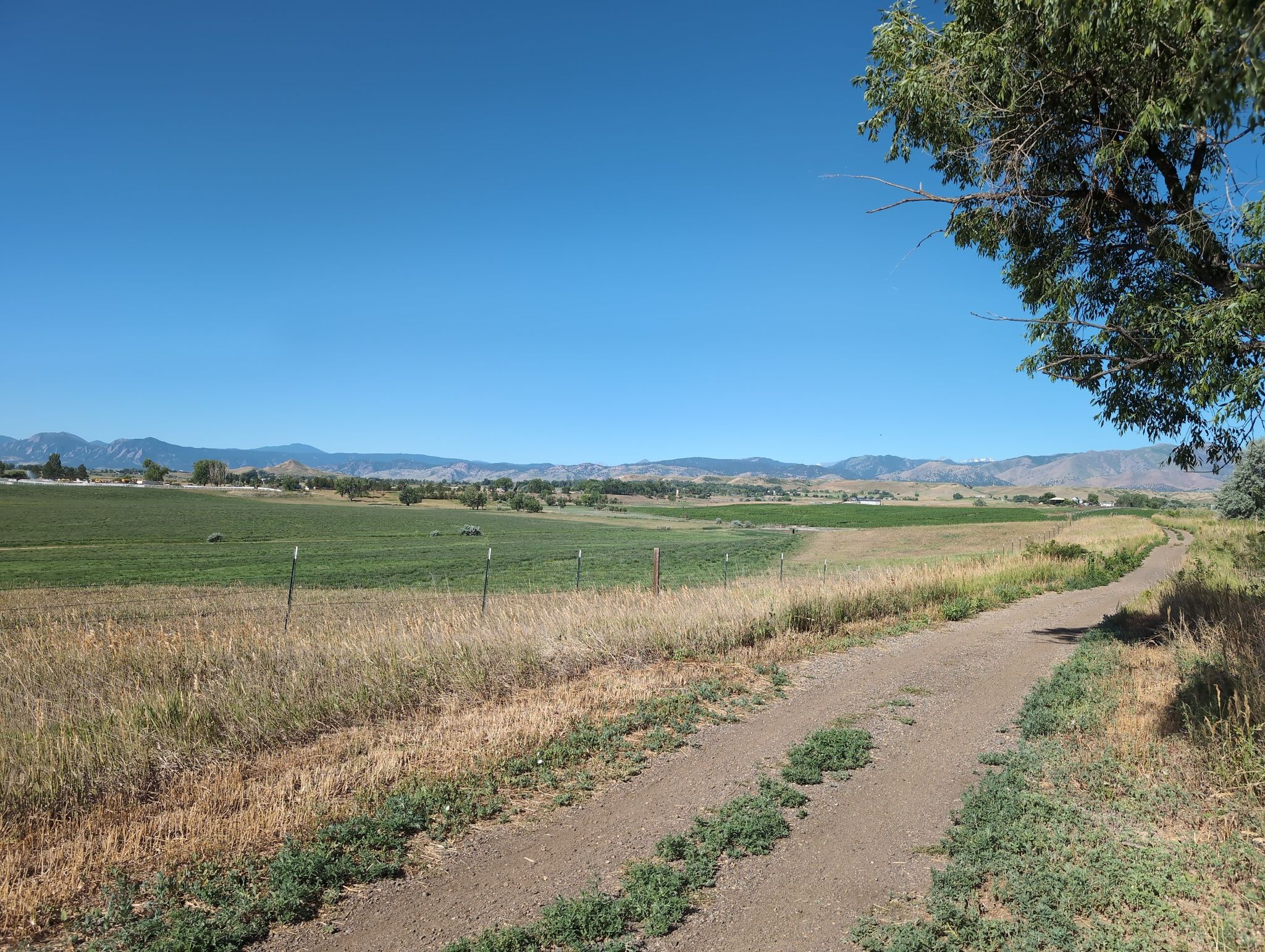 Dirt path next to green fields, distant mountains under a clear blue sky. - Lefthand Trail loop from Seagate Technology