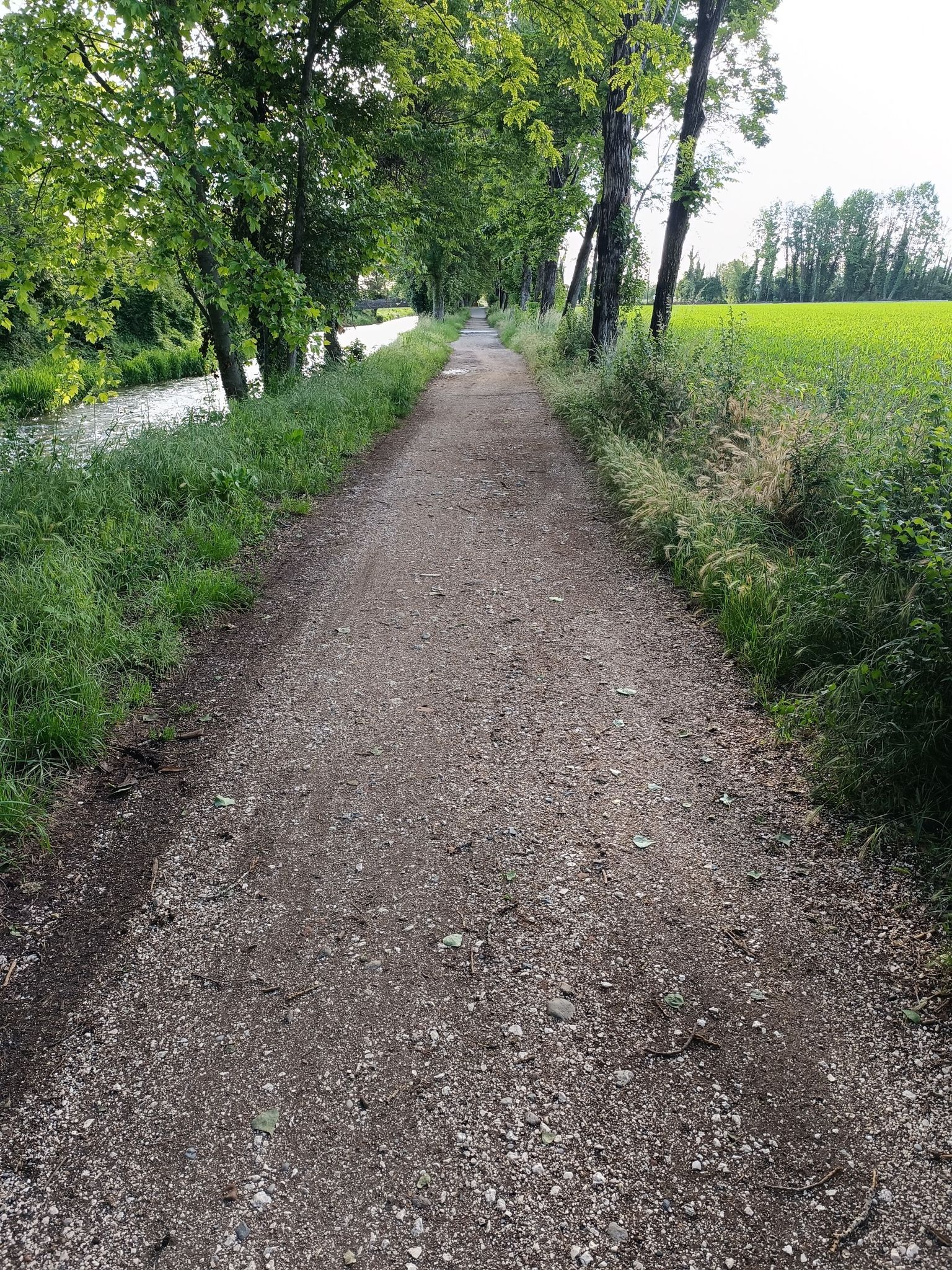la Gavardine