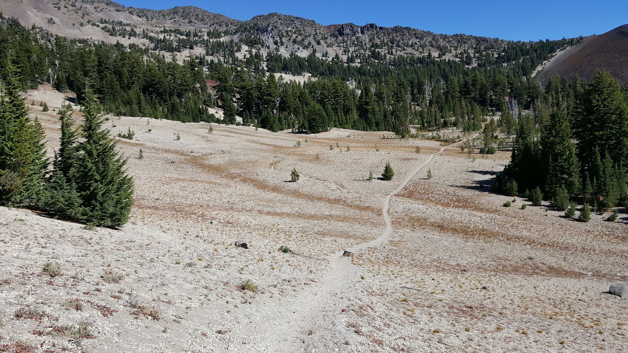 Winding dirt path through a wide, dry, grassy valley with scattered trees. - Green Lakes and Broken Top Loop