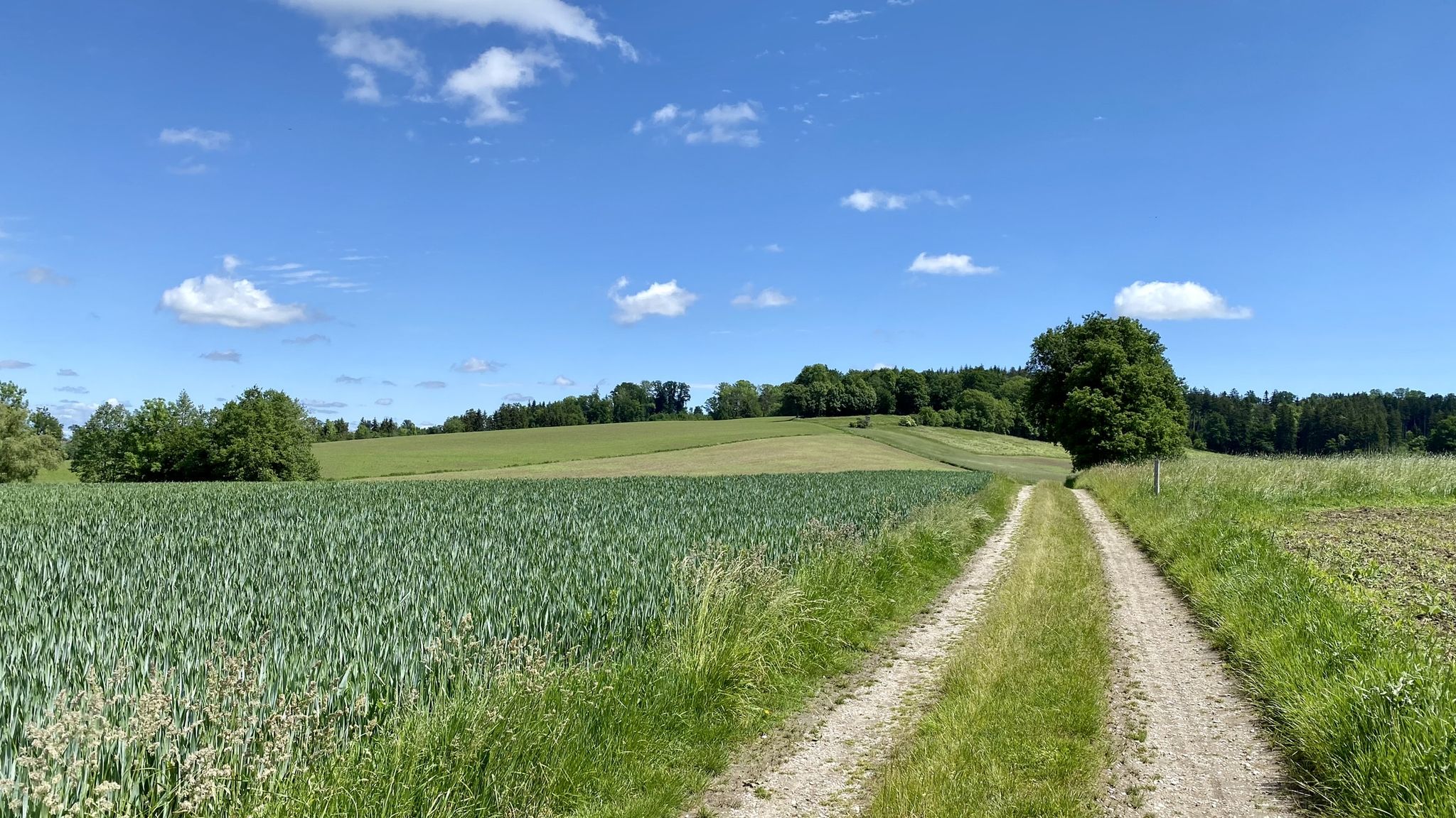 Nach Unterführung Bundesstraße