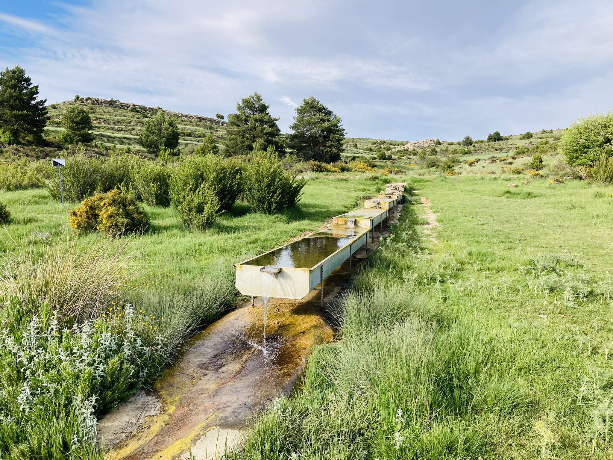 Fuente La Hoya