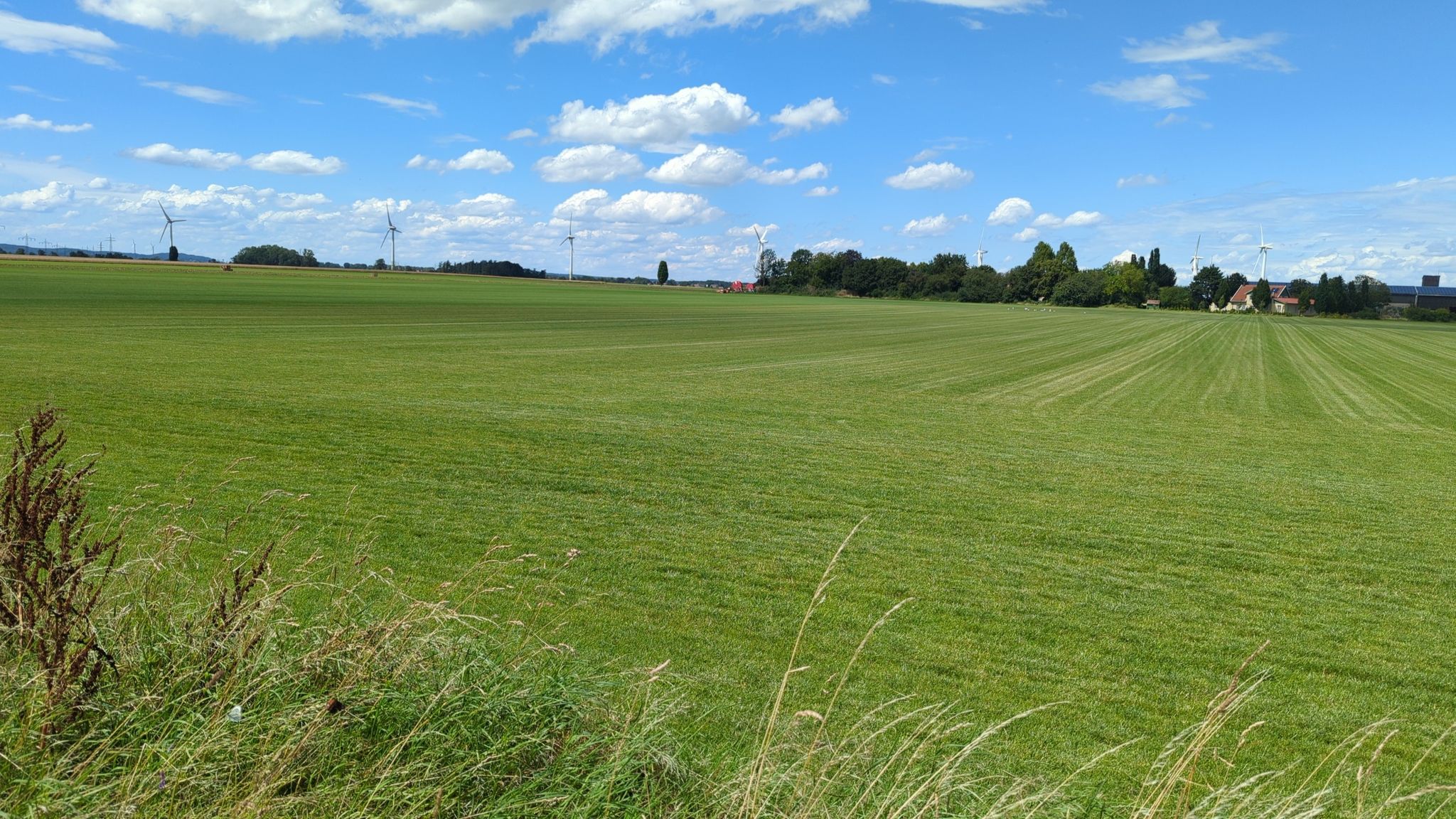 Rollrasen in Pattensen