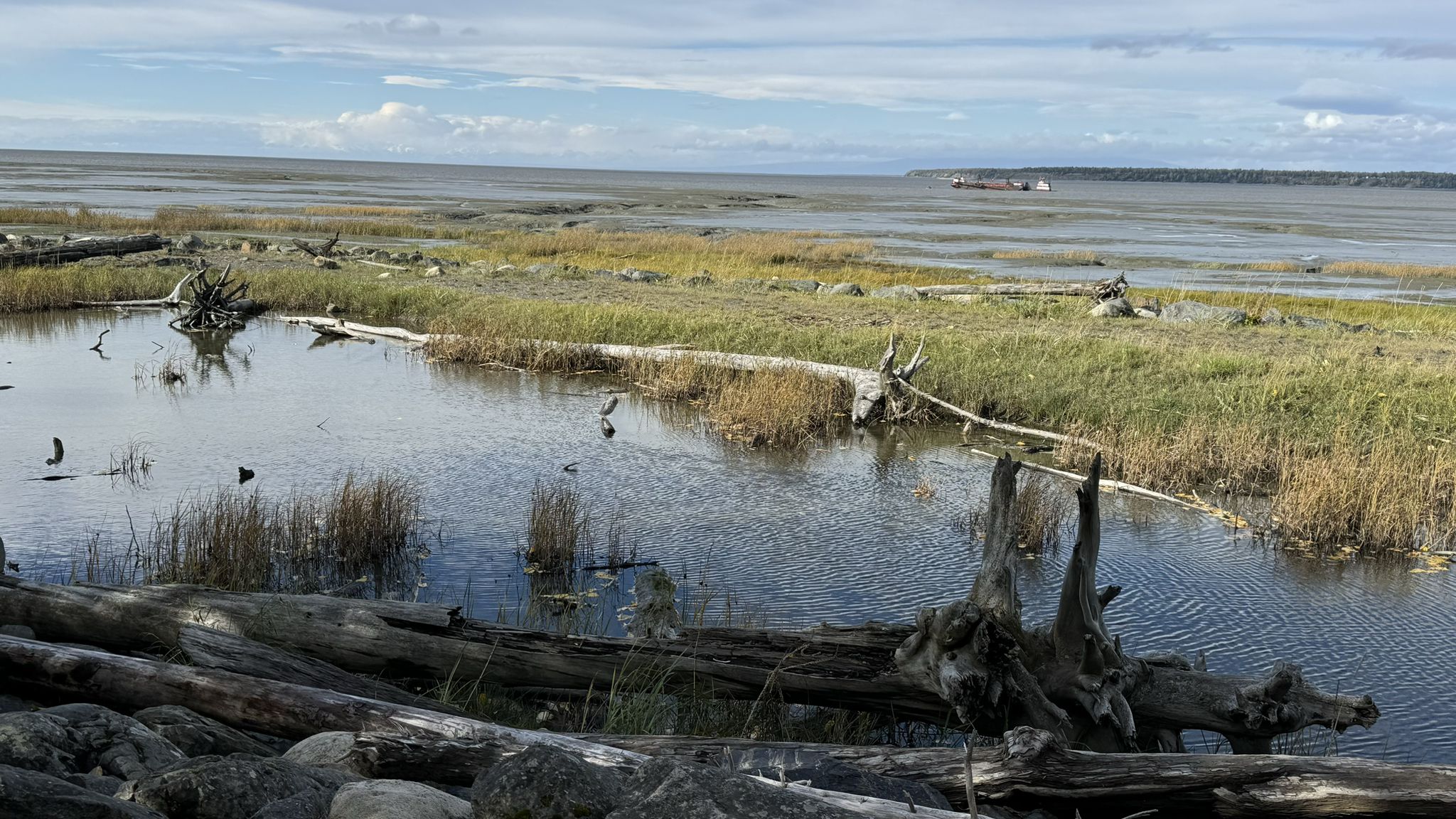 Coastal marsh with driftwood, water channels, and a distant ship under cloudy sky. - Mini Moose loop