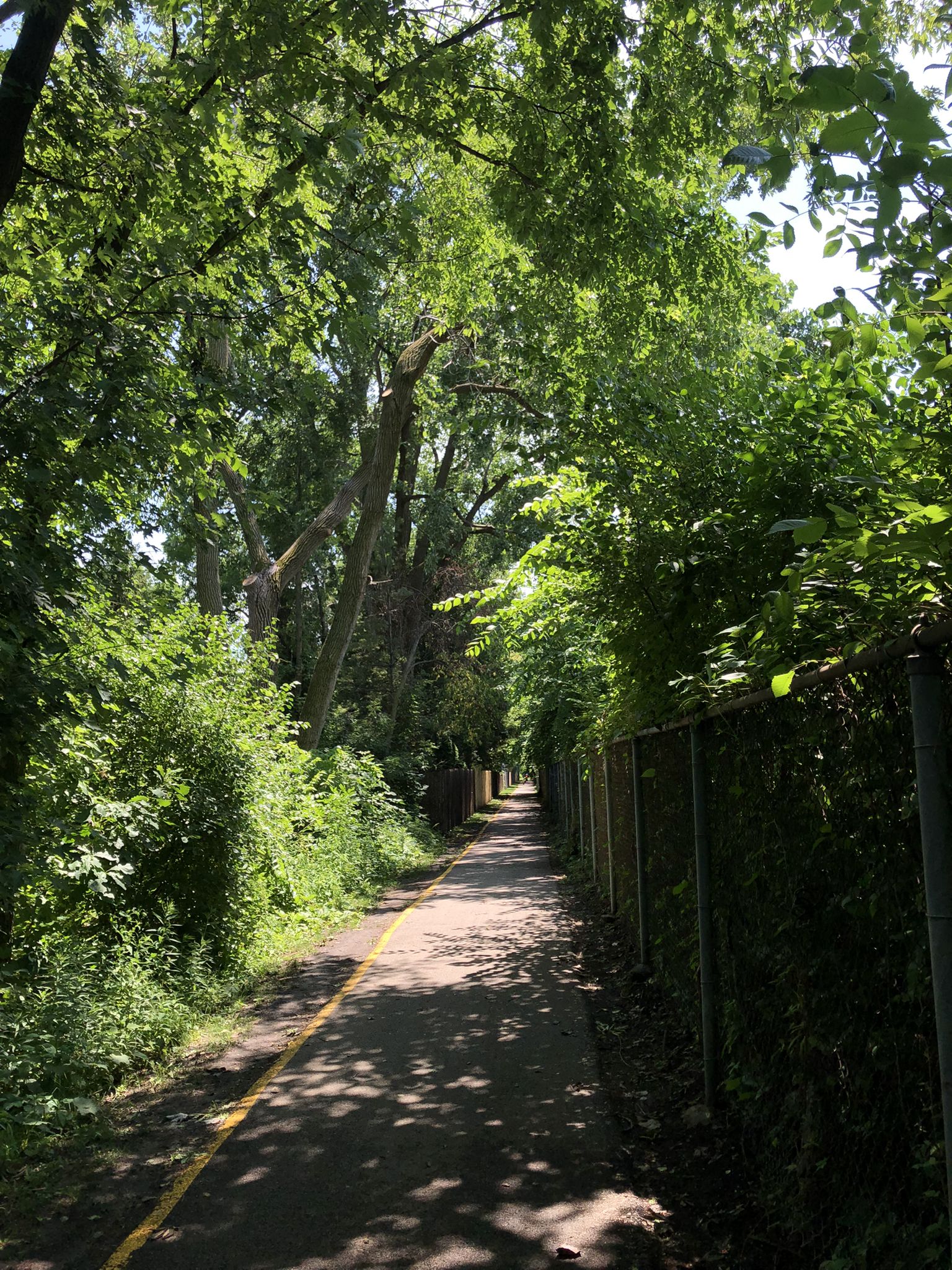 Shaded paved path bordered by dense green foliage and a chain-link fence. - Green Bay Trail – Home Alone House loop from Evanston Central Street