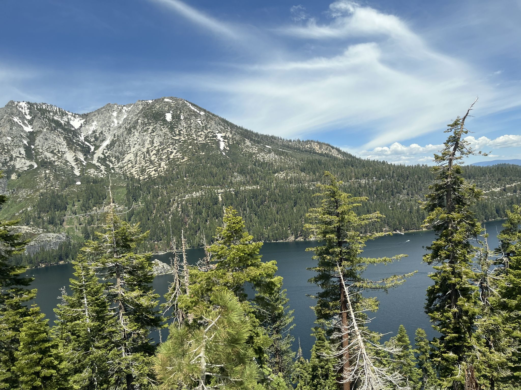 Sunny view of a large lake, forested mountains, and tall pine trees. - Lake Tahoe Century loop from Truckee