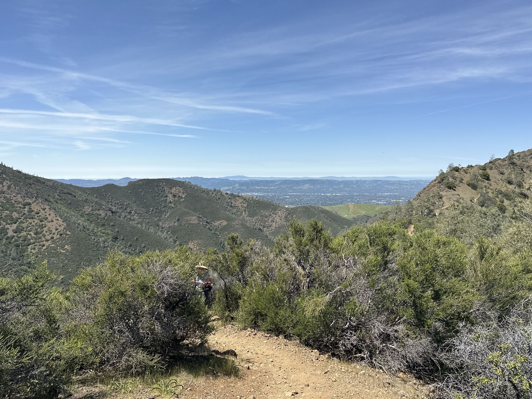 Dirt trail overlooking green, forested mountains under a clear blue sky. - Mitchell Canyon and Eagle Peak Loop