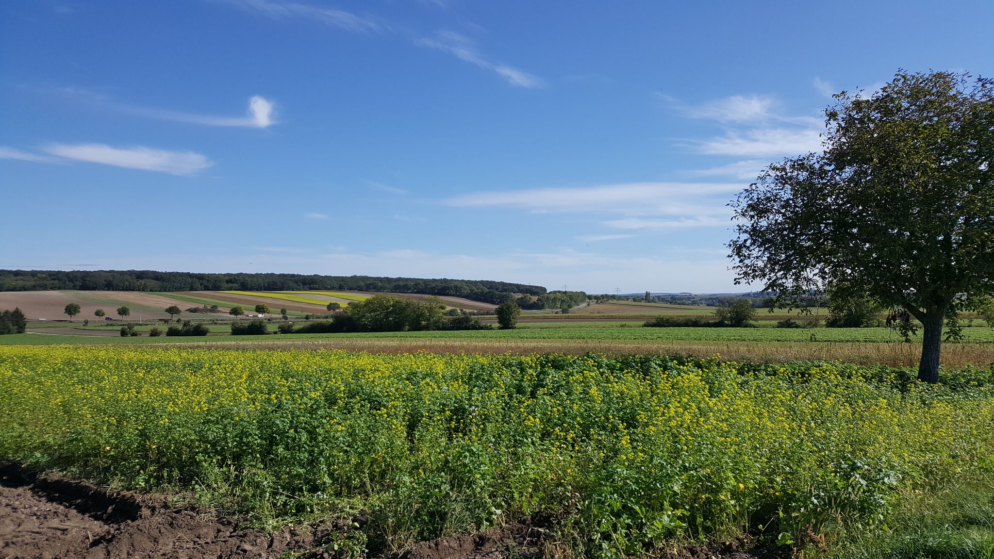 Bei Pöttsching