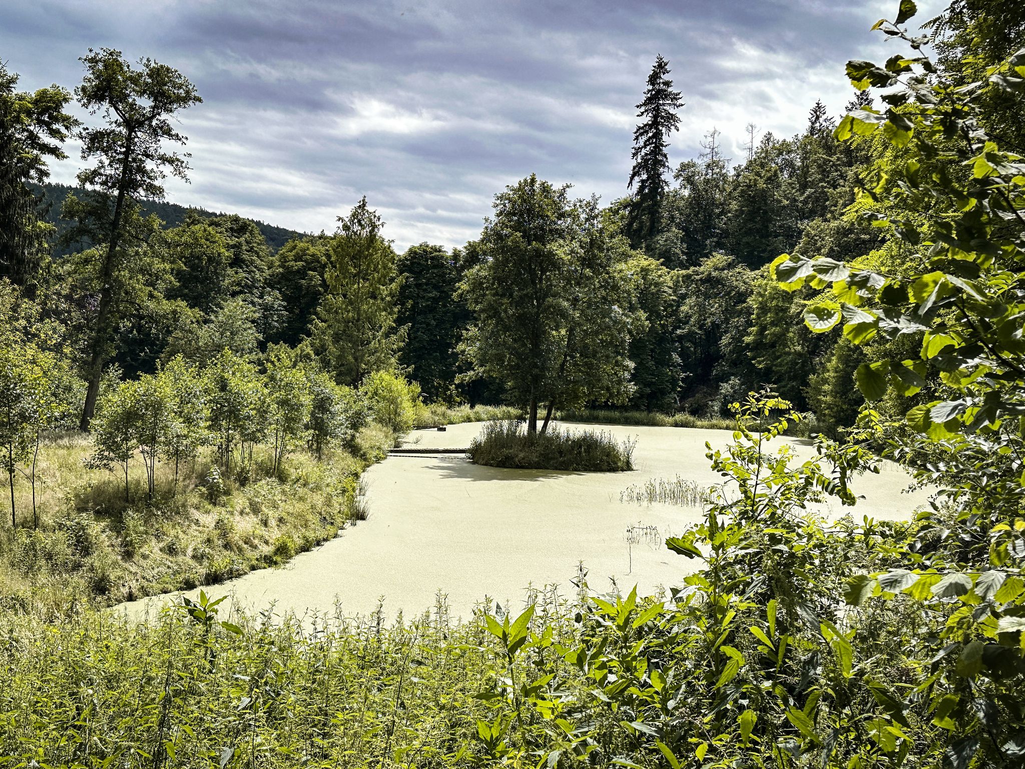 Wasserlinsensee