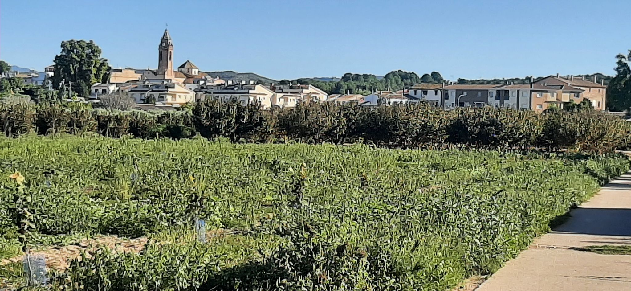La Riera de Gaià