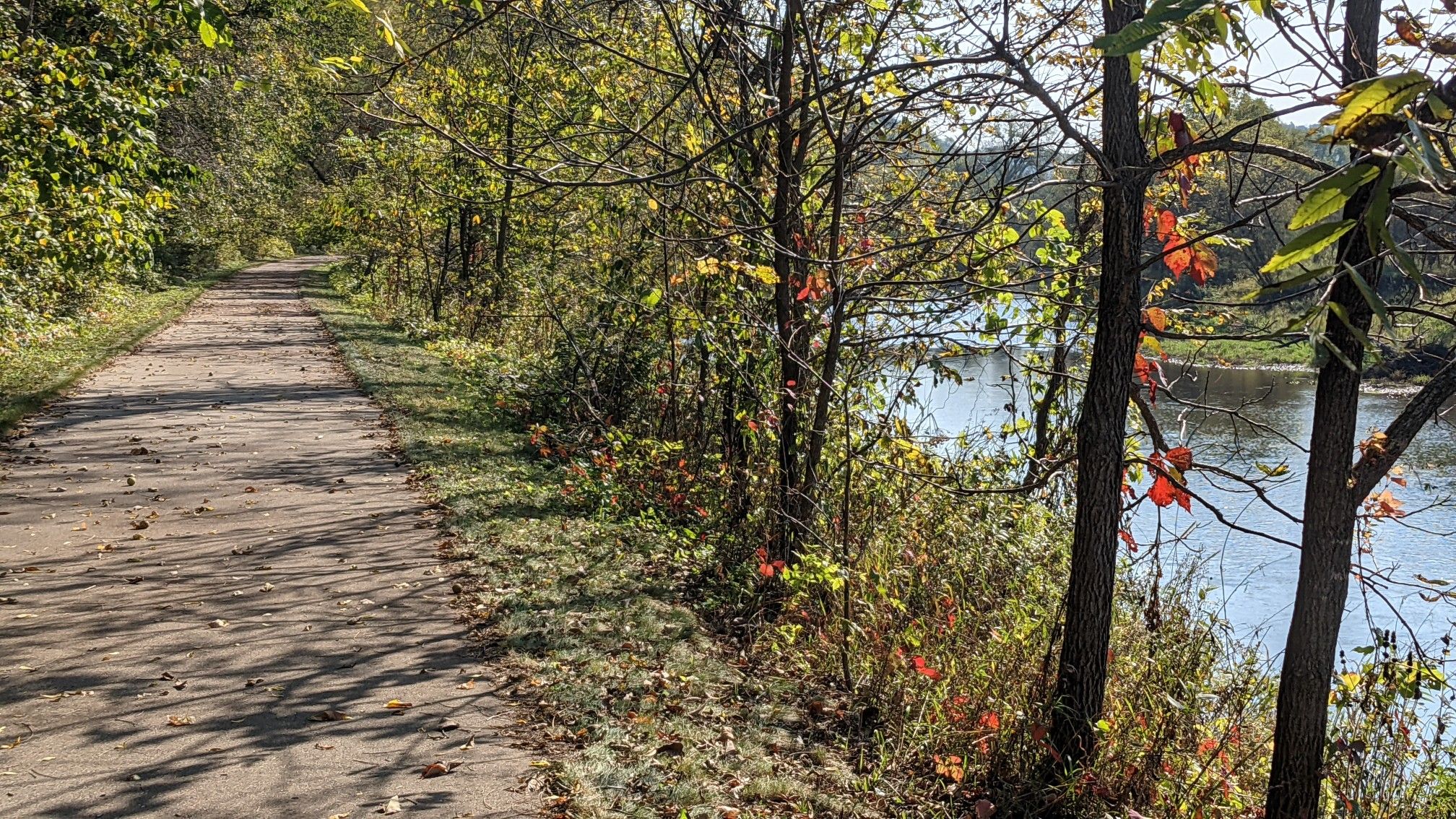 Paved path next to a river, with trees showing early autumn colors. - Root River Trail: Peterson to Whalan