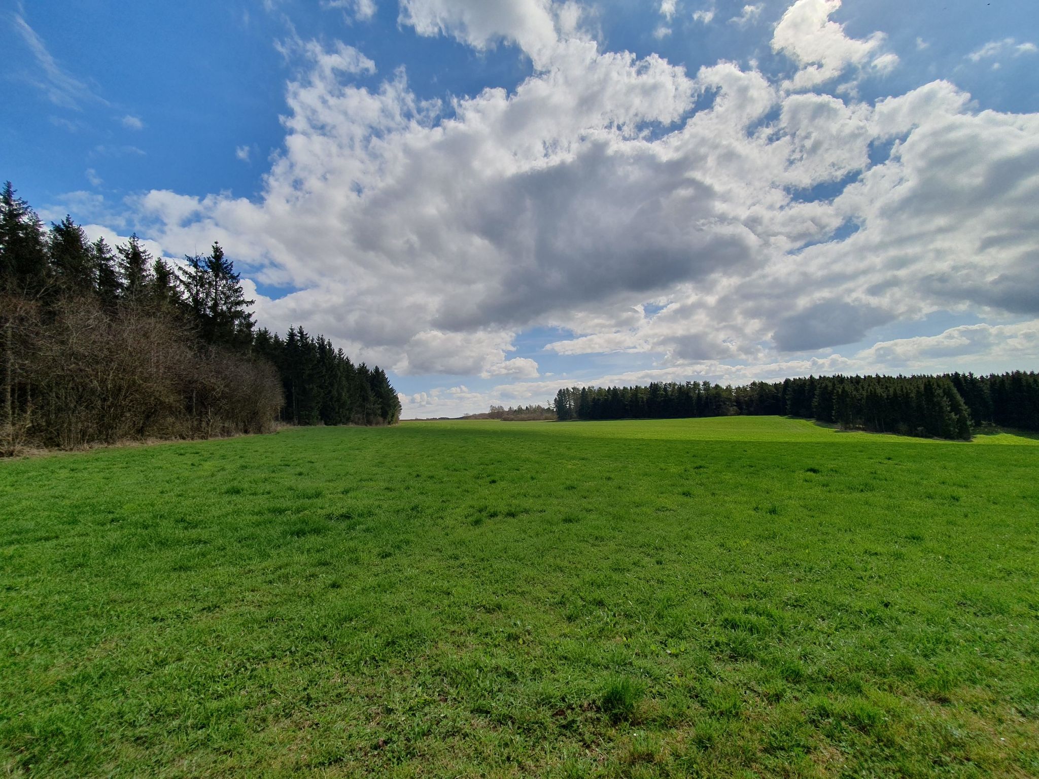 Weitblick