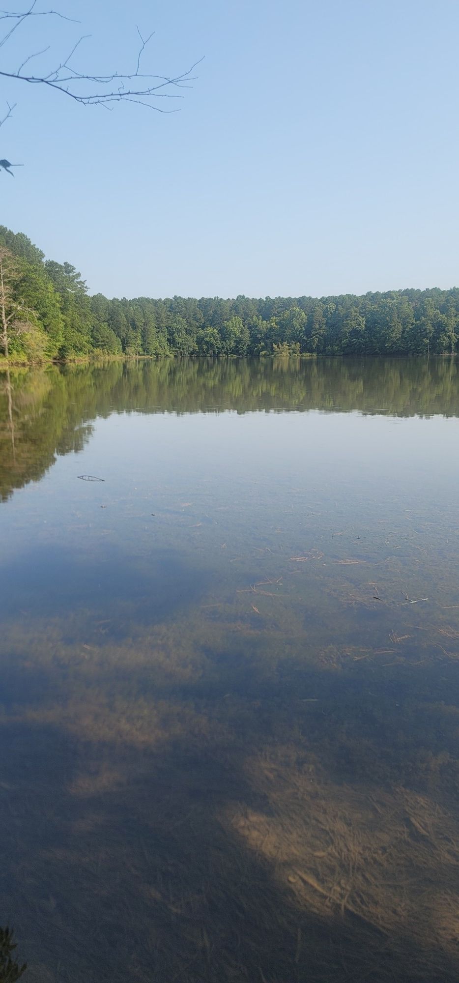 Calm lake reflecting a forested shoreline under a clear blue sky. - Mumbo Jumbo, Voodoo, and Hocus Pocus Loop