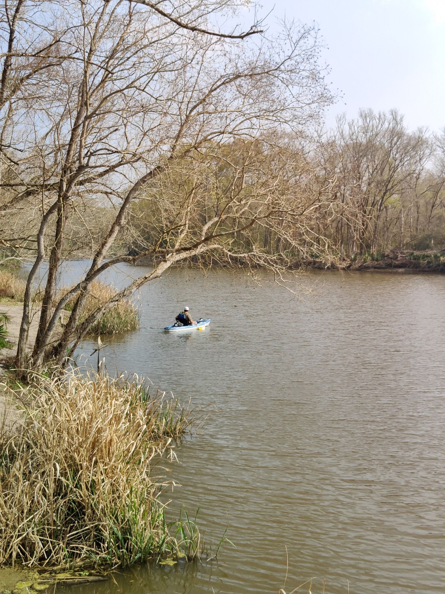 A person kayaks on a calm river, surrounded by bare trees and reeds. - Sam Houston National Forest loop