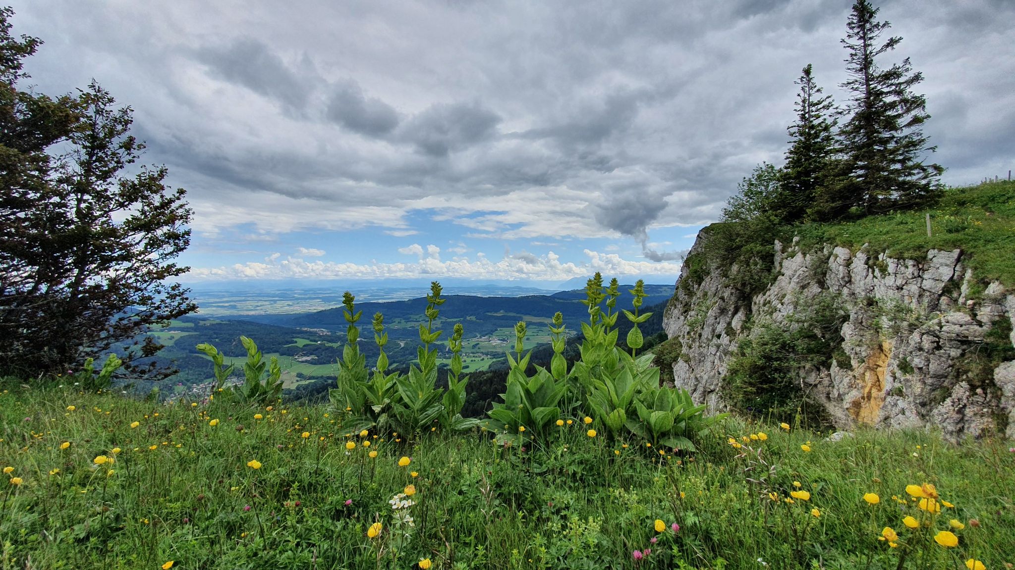 Panorama Suisse 