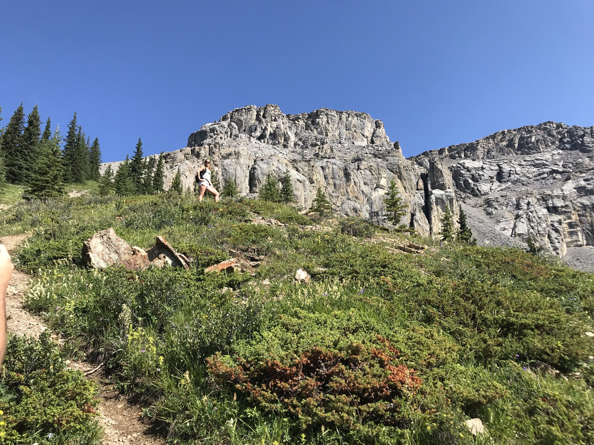 Destination, the top