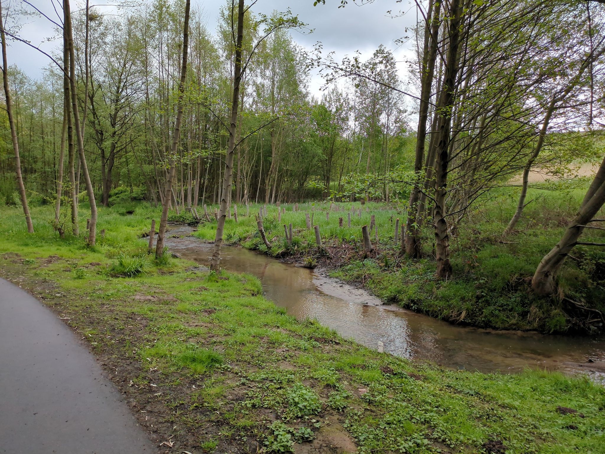 Weg am Wasserlauf