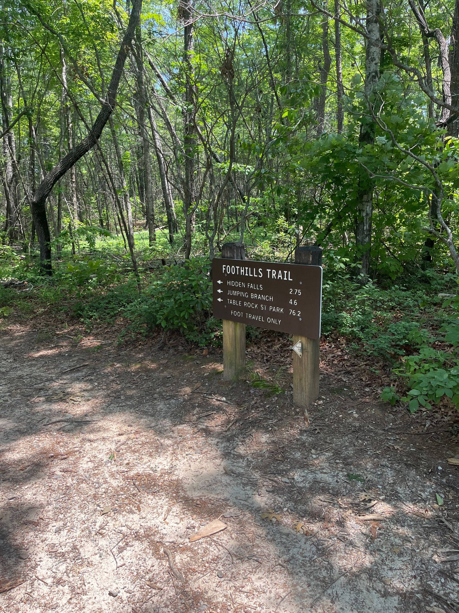 Wooden trail sign on a dirt path in a sun-dappled, green forest. - Old Waterwheel Trail