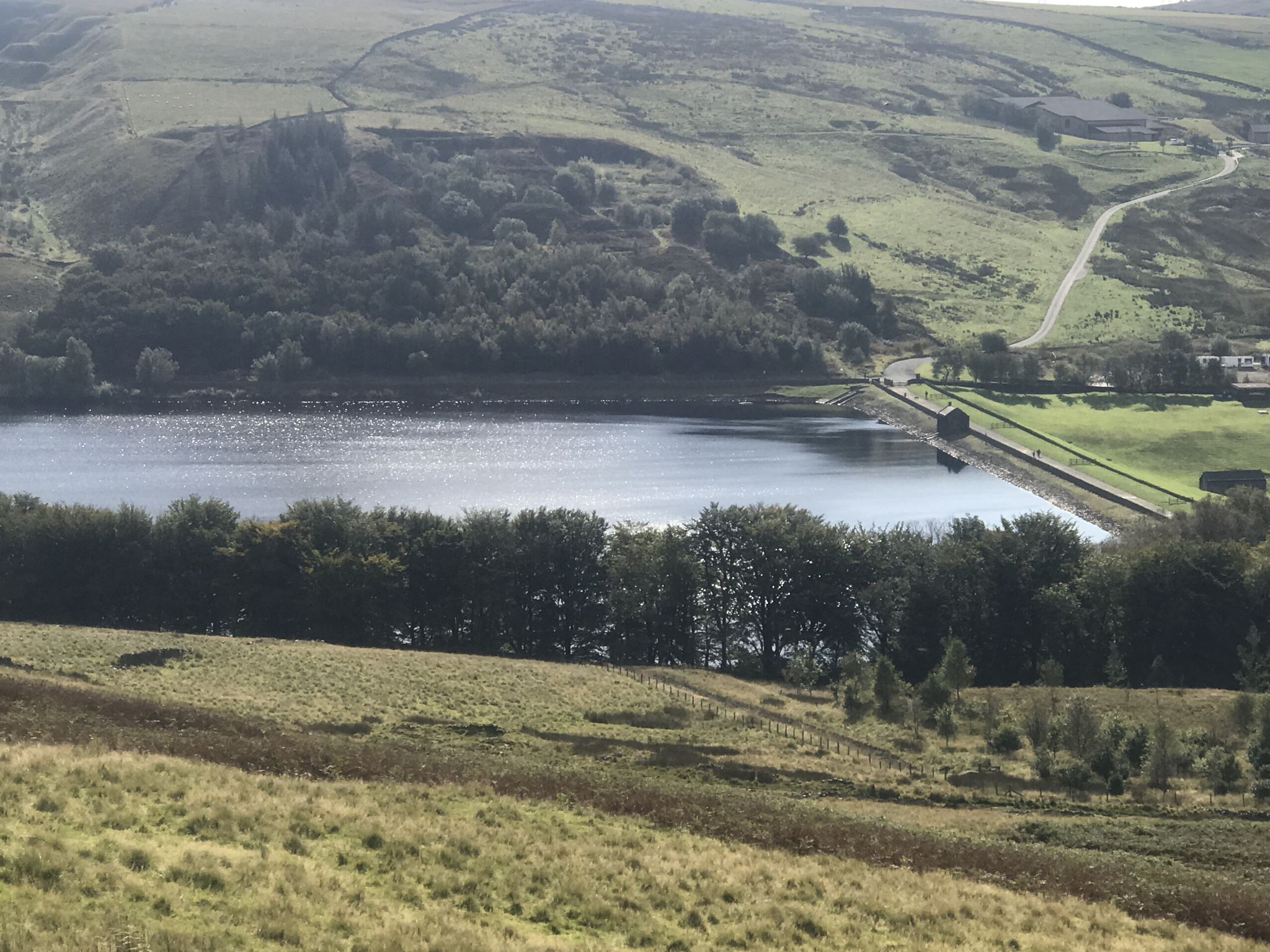 Piethorne red 