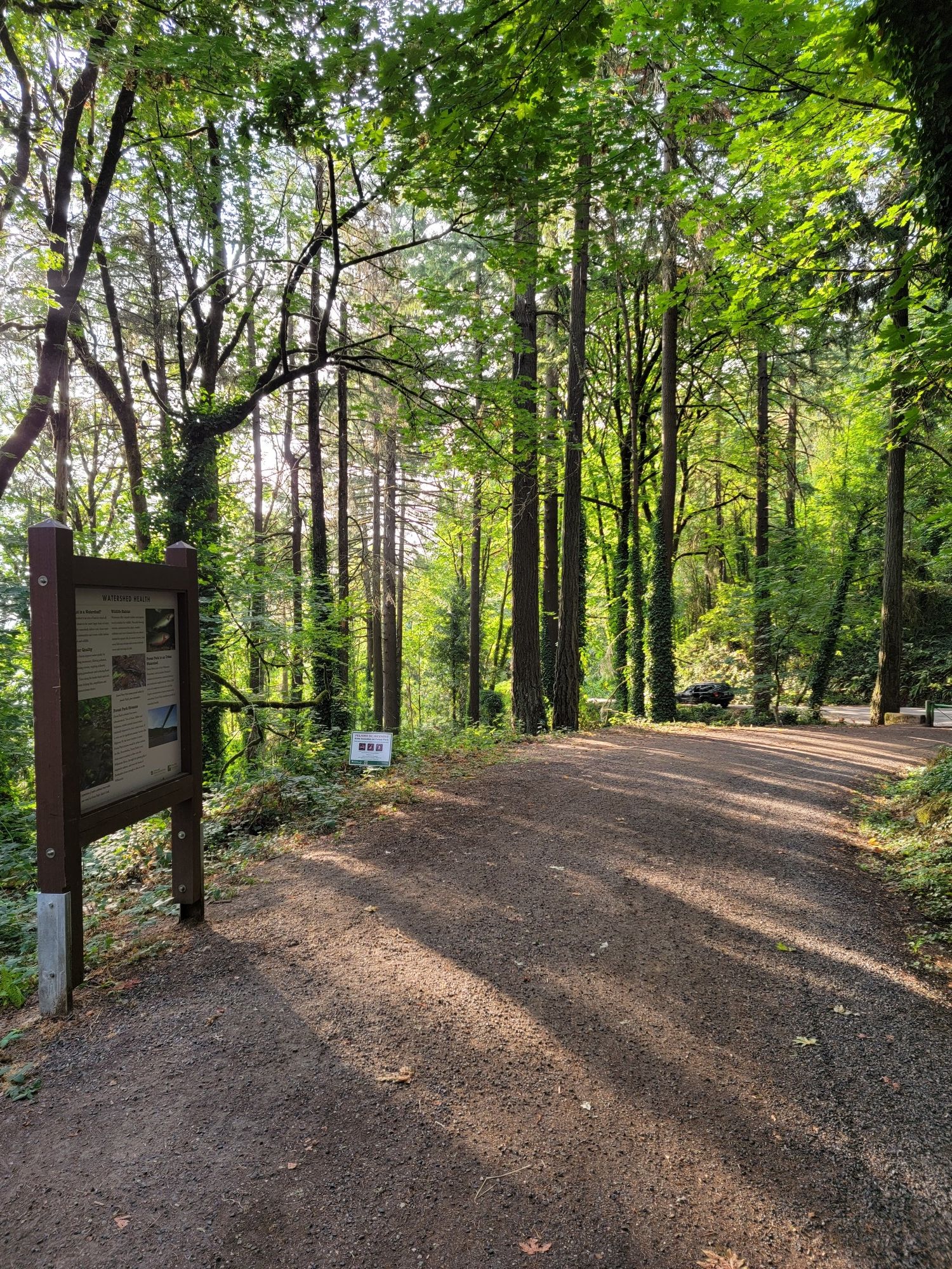 Information sign beside a wide dirt road leading into a sunlit forest. - Wildwood Trail – Germantown Road Trailhead loop from University of Portland