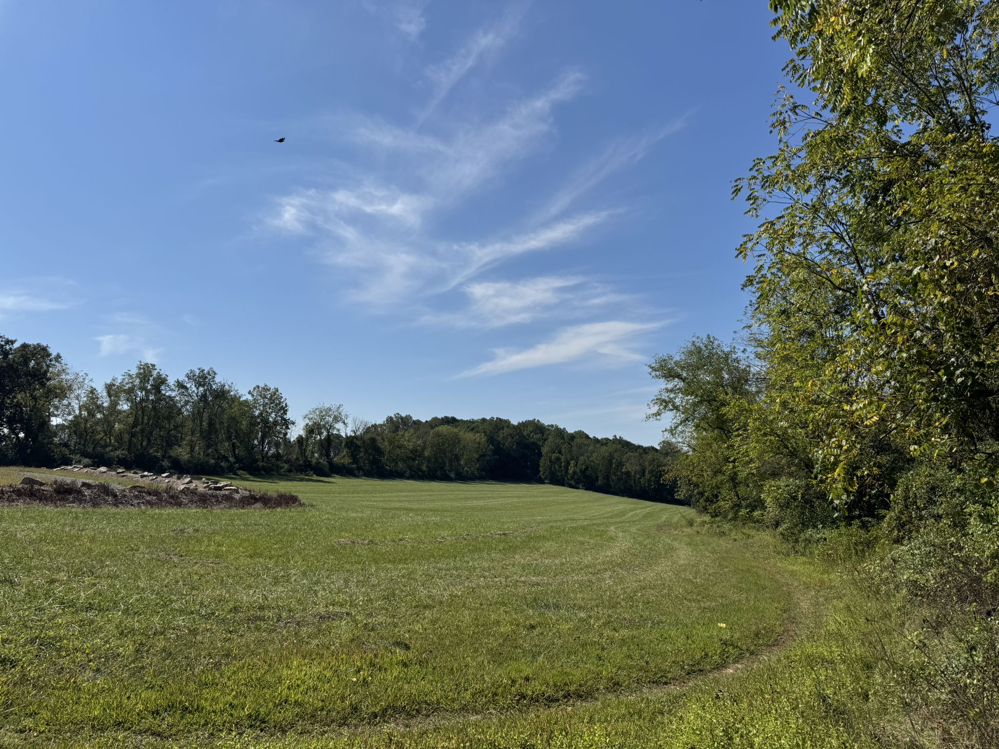 Expansive green field bordered by trees under a bright blue sky. - Blue and Green Trail Loop
