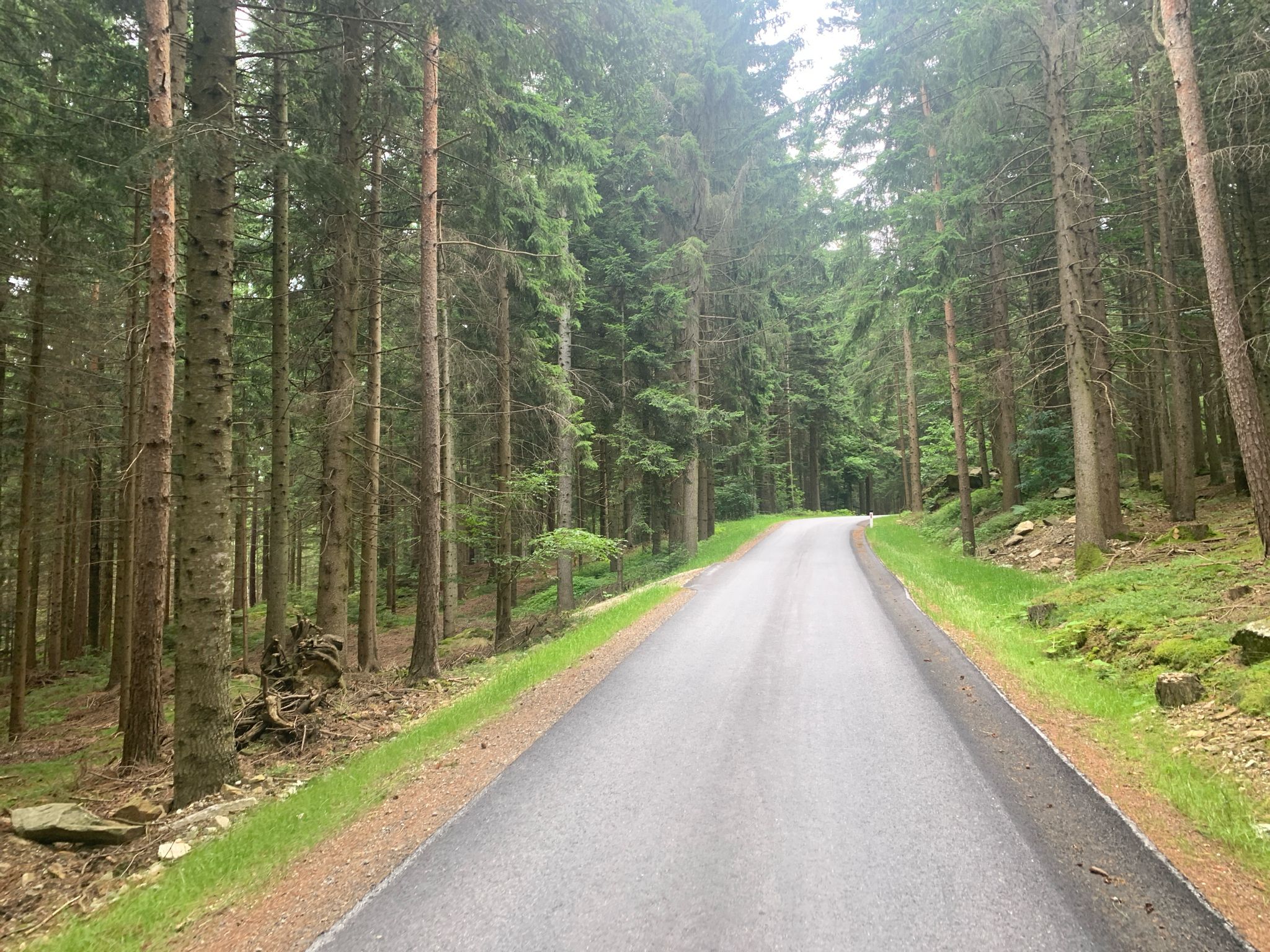 Am Schowollerweg