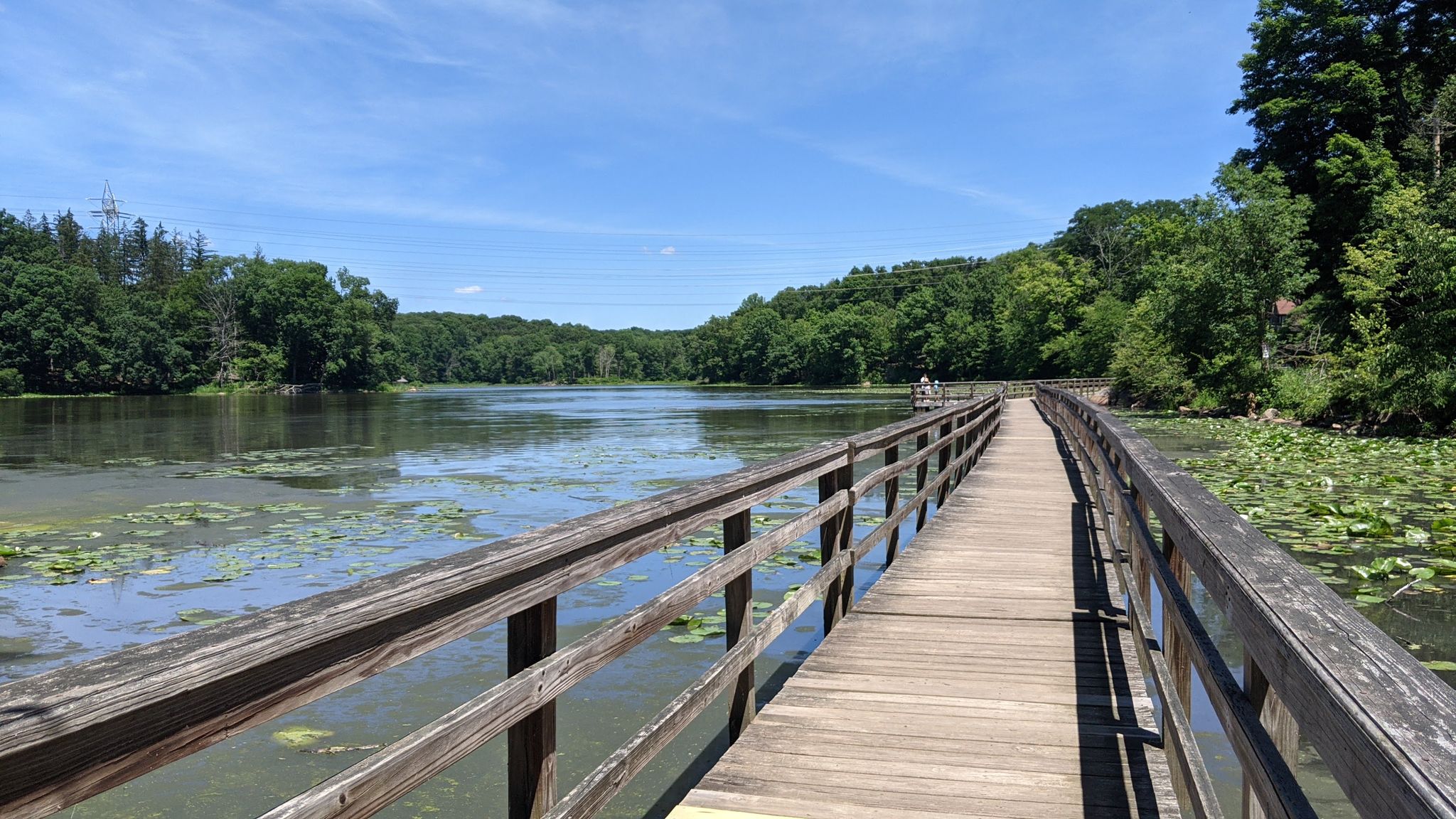 Long wooden boardwalk over a lake with green trees under a bright blue sky. - Three Lakes Loop