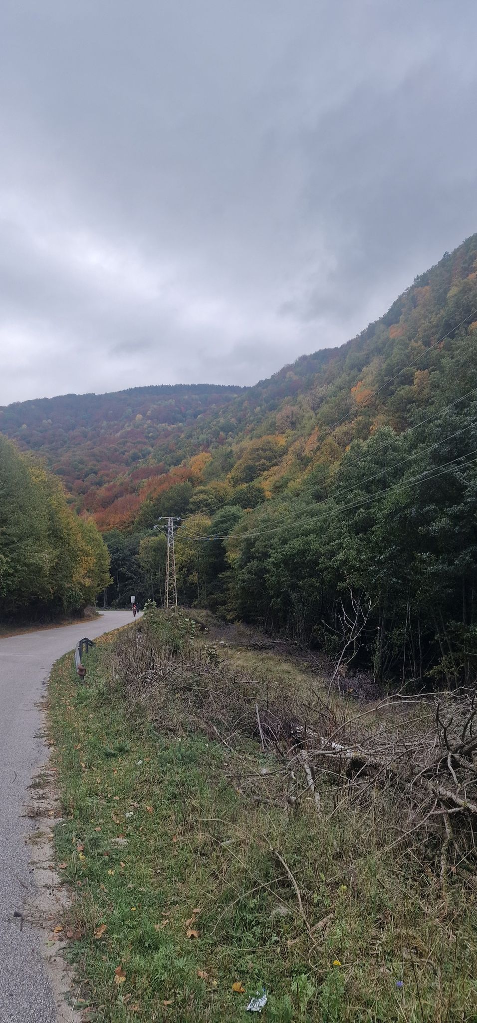 красота