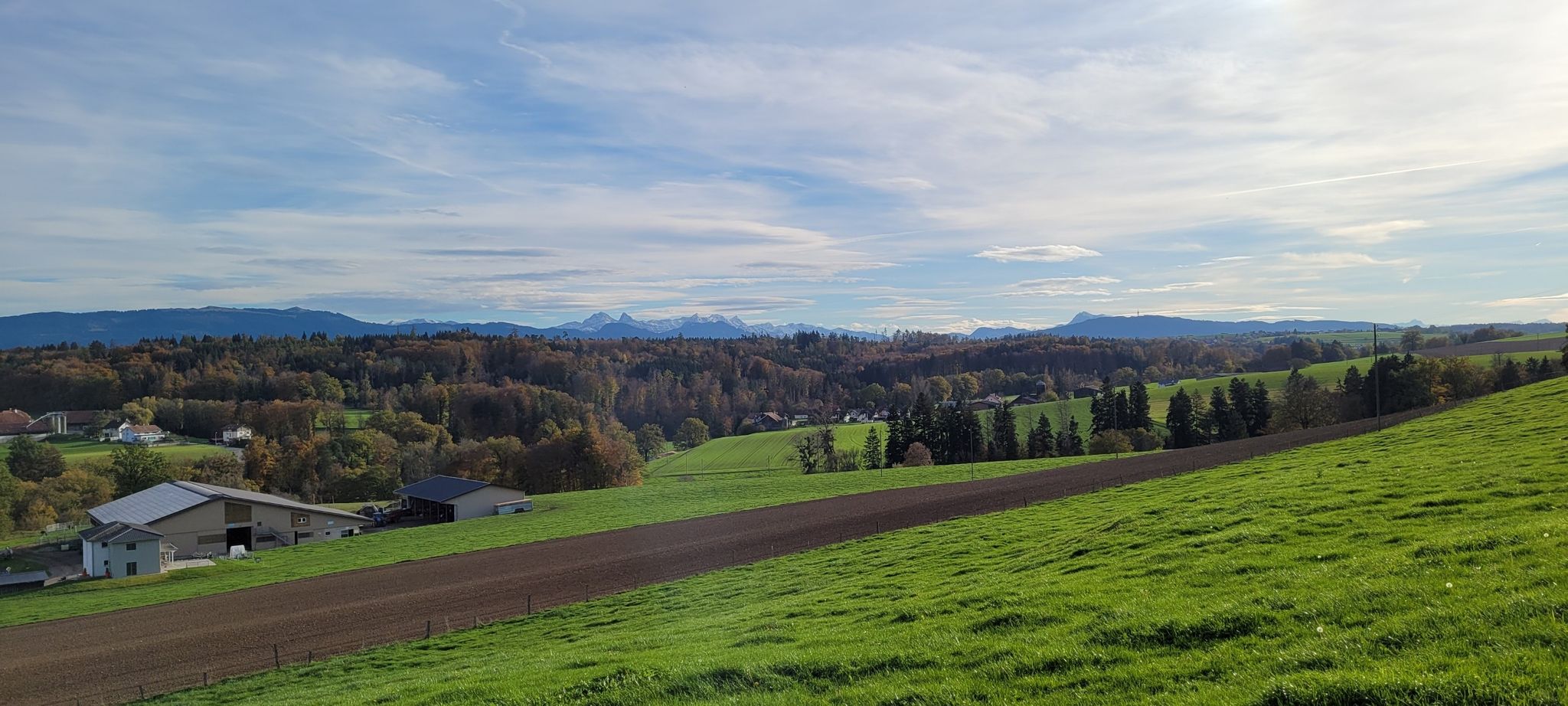 Au loin, le Moléson, les Préalpes frib.