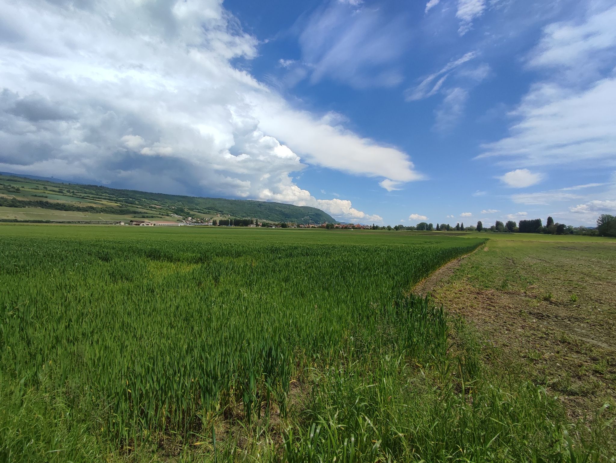 Le Landeron