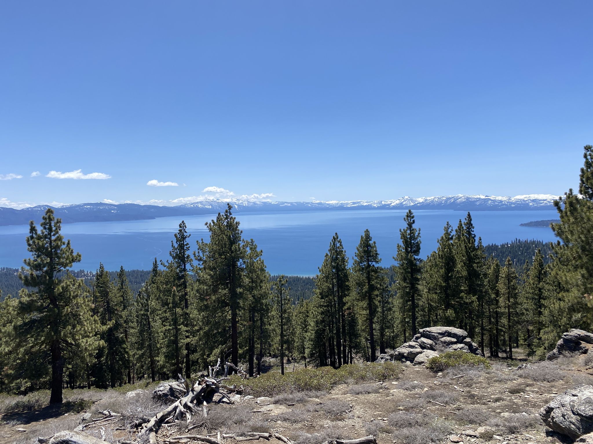 Panoramic view of a large lake, pine forest, and snow-capped mountains. - Picnic Rock via Tahoe Rim Trail