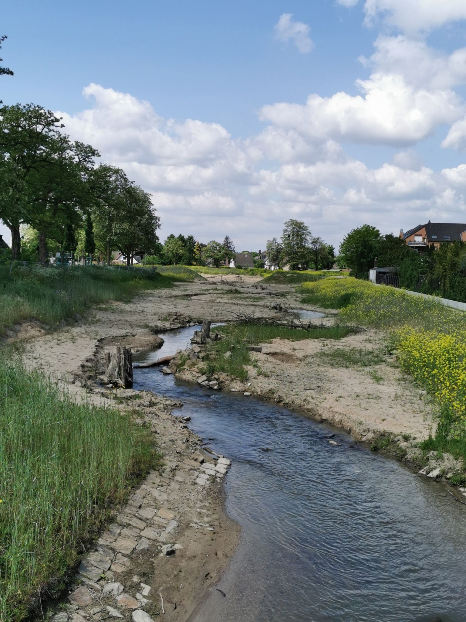 Renaturierte Südliche Düssel bei Vennhausen