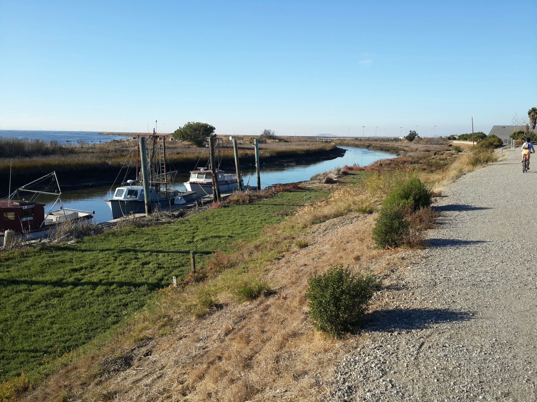 A person cycles on a gravel path beside a river with docked boats. - Alviso Marina County Park loop