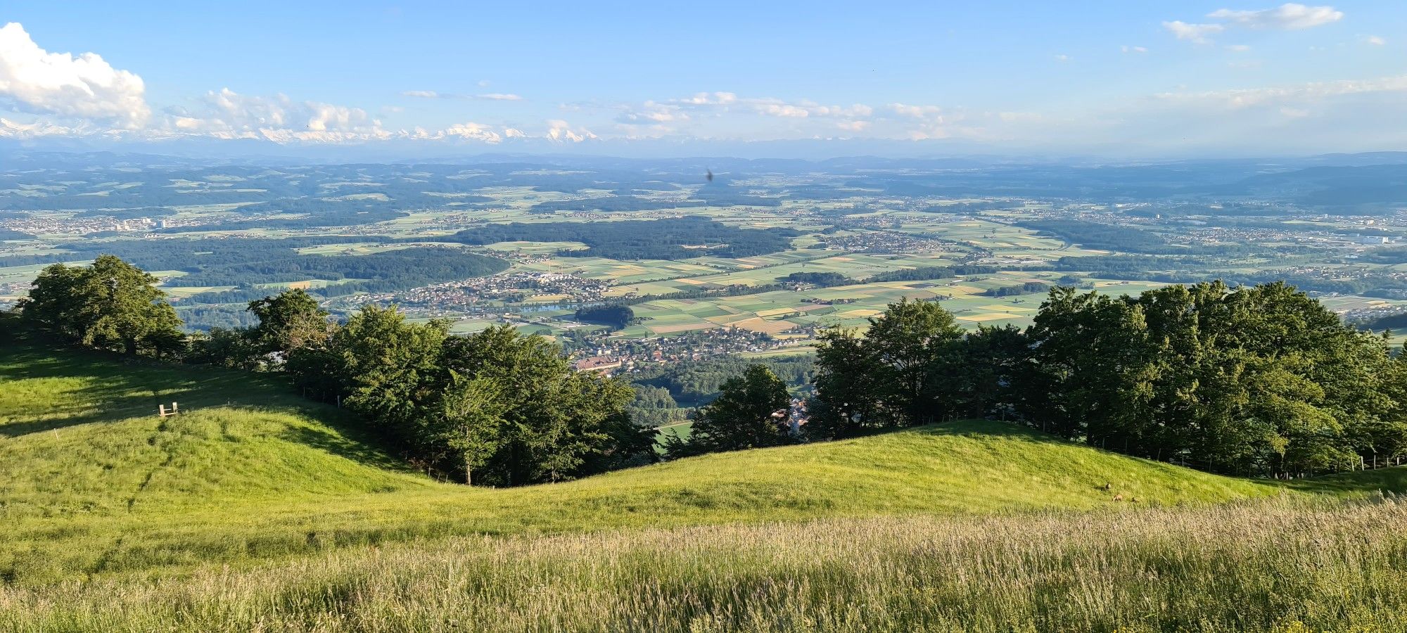 Ankehubel