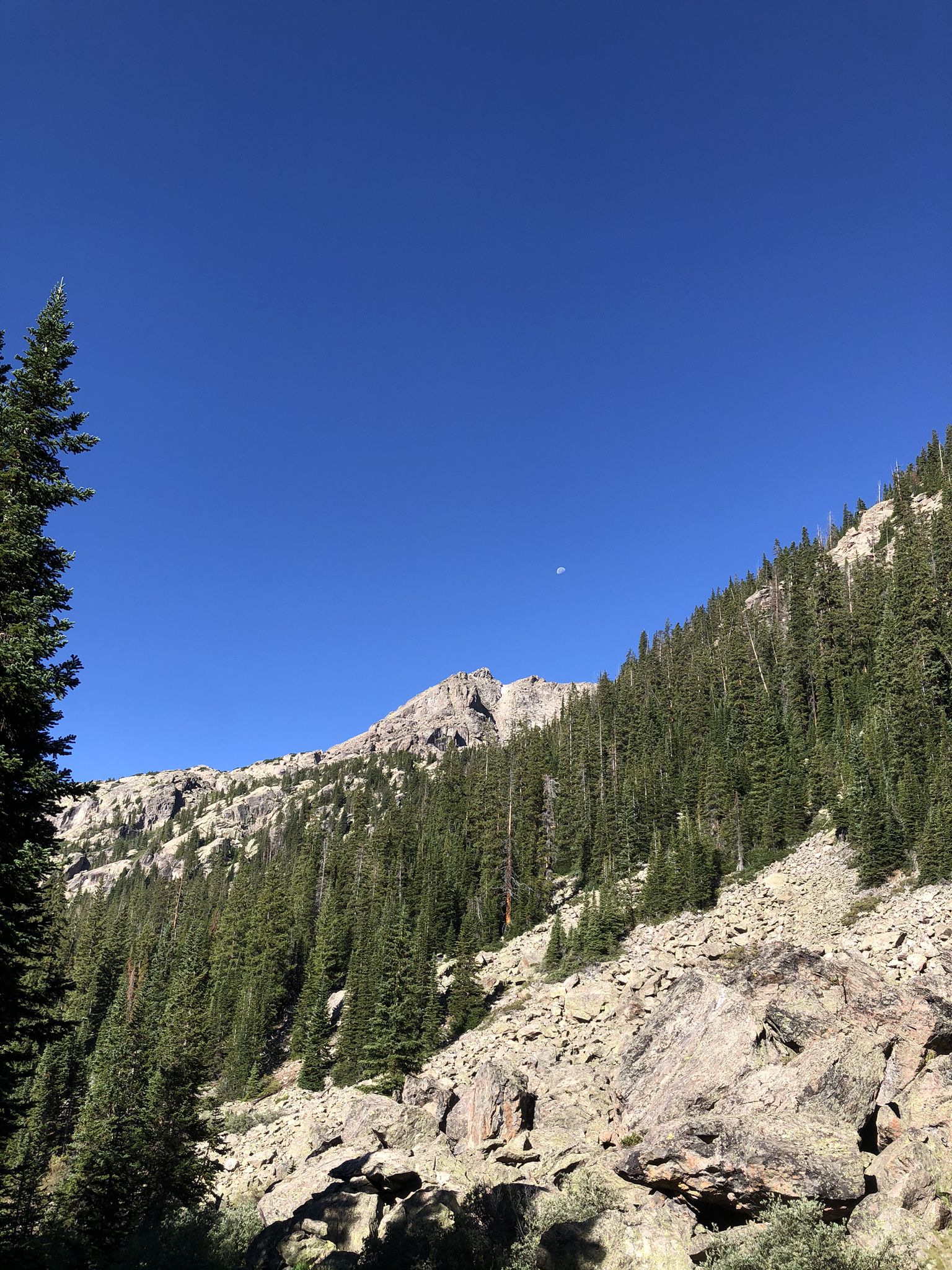 A steep, rocky mountain slope covered with dense pine trees under clear sky. - Fall Creek Trail to Lake Constantine