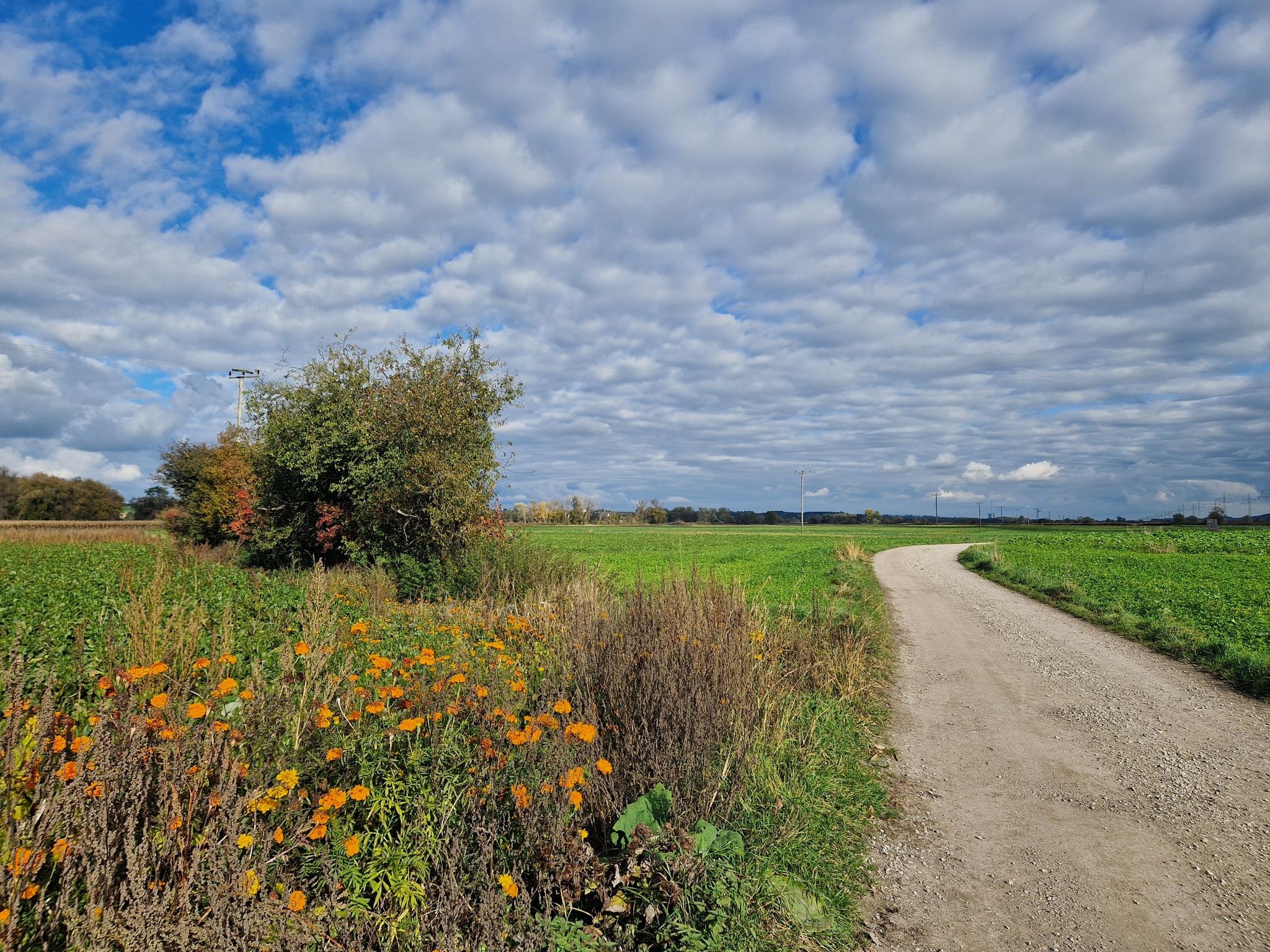 Ampertalradweg Richtung Osten von Unterberg her