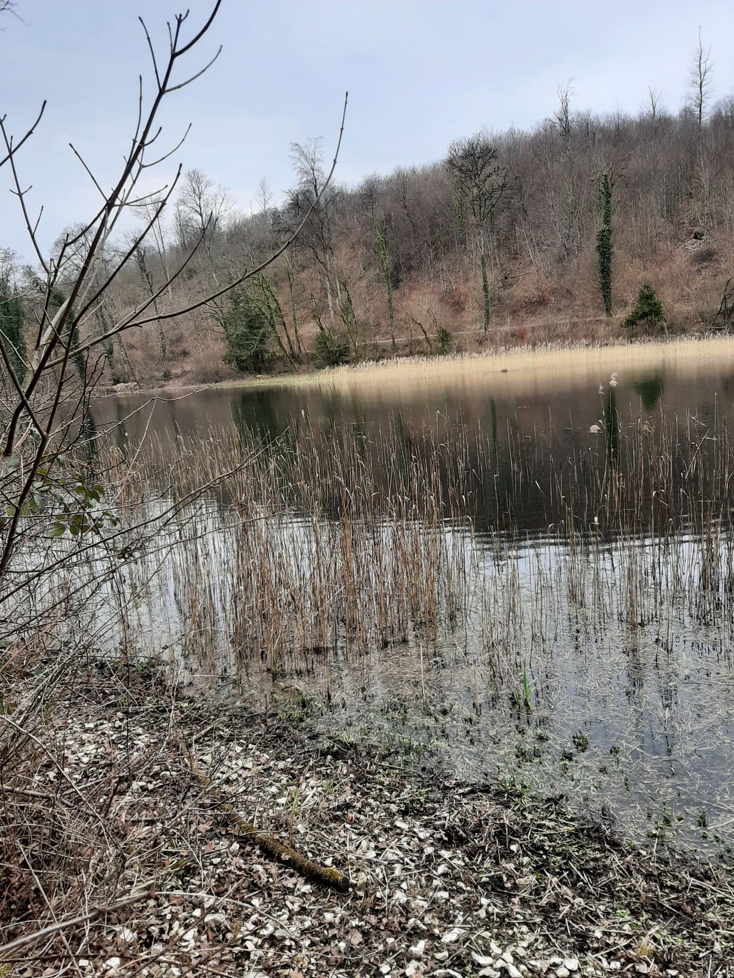 etang sainte Geneviève 