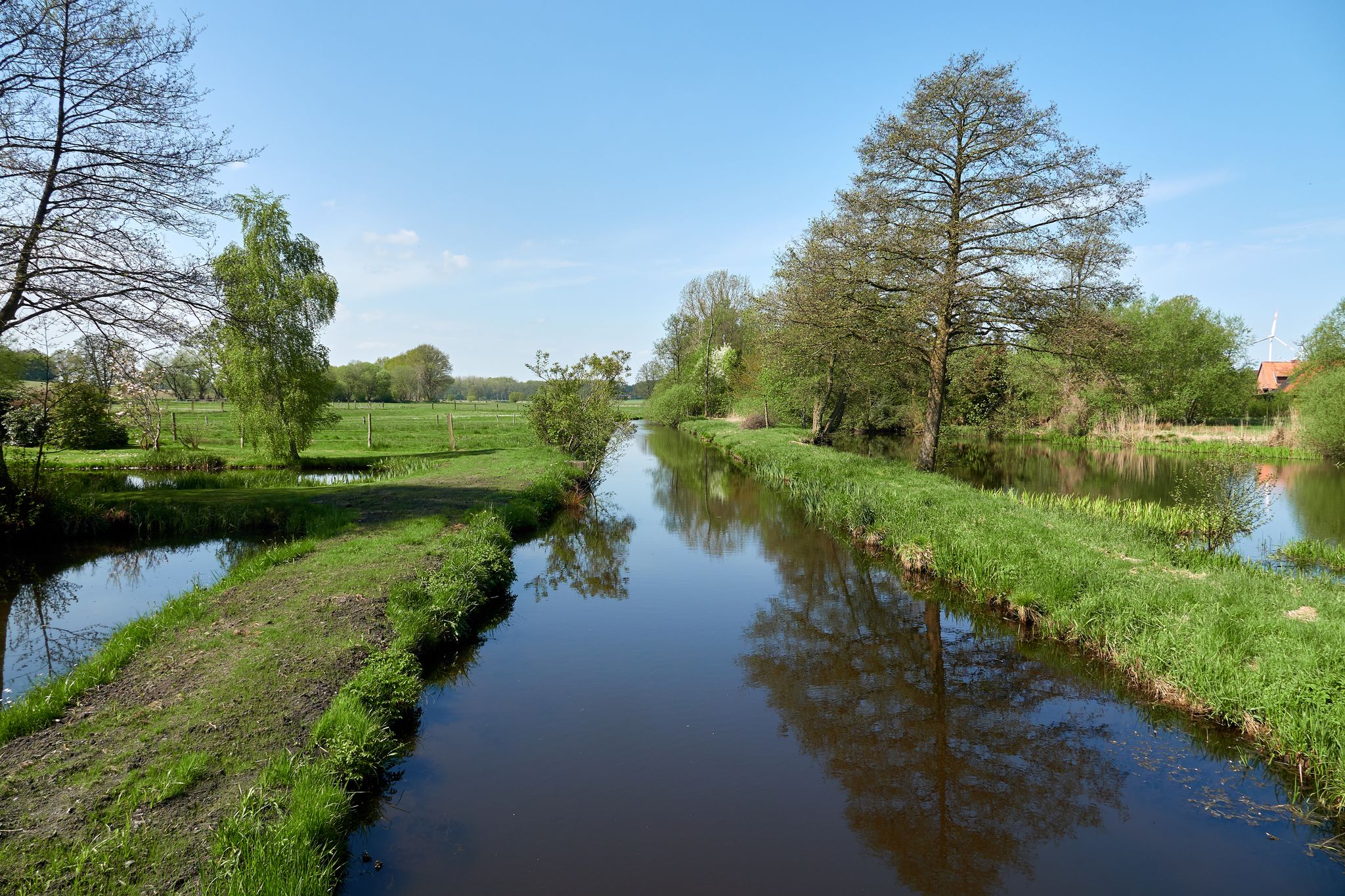 Die Schwienau in Hanstedt I