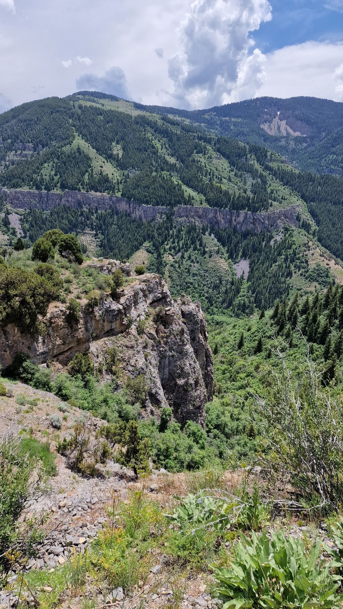Green mountains, rocky cliffs, and a valley under a partly cloudy sky. - Wind Cave Trail
