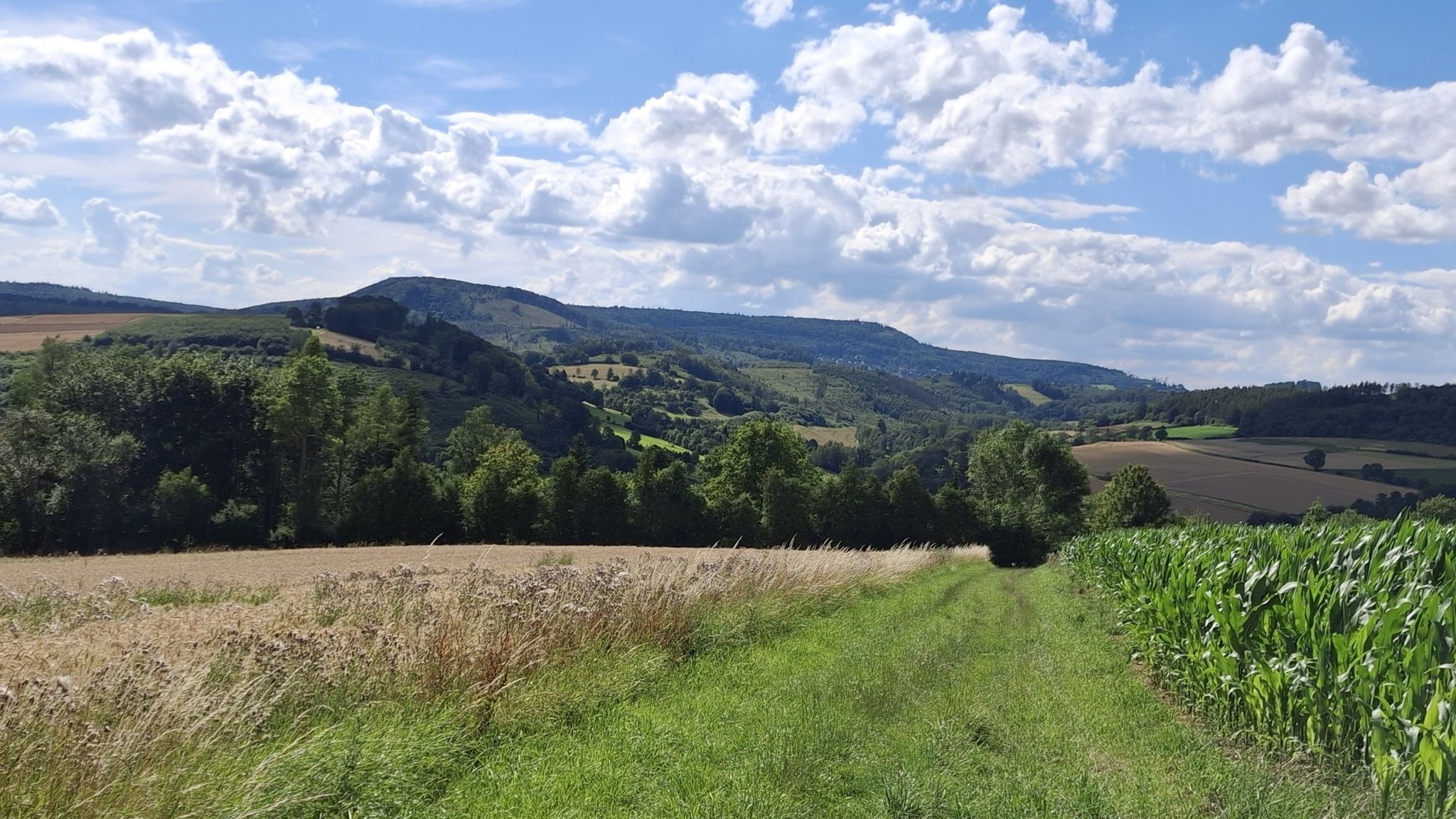 vl Herlingsburg,  Winterberg mit Eschenbruch und Gaffel