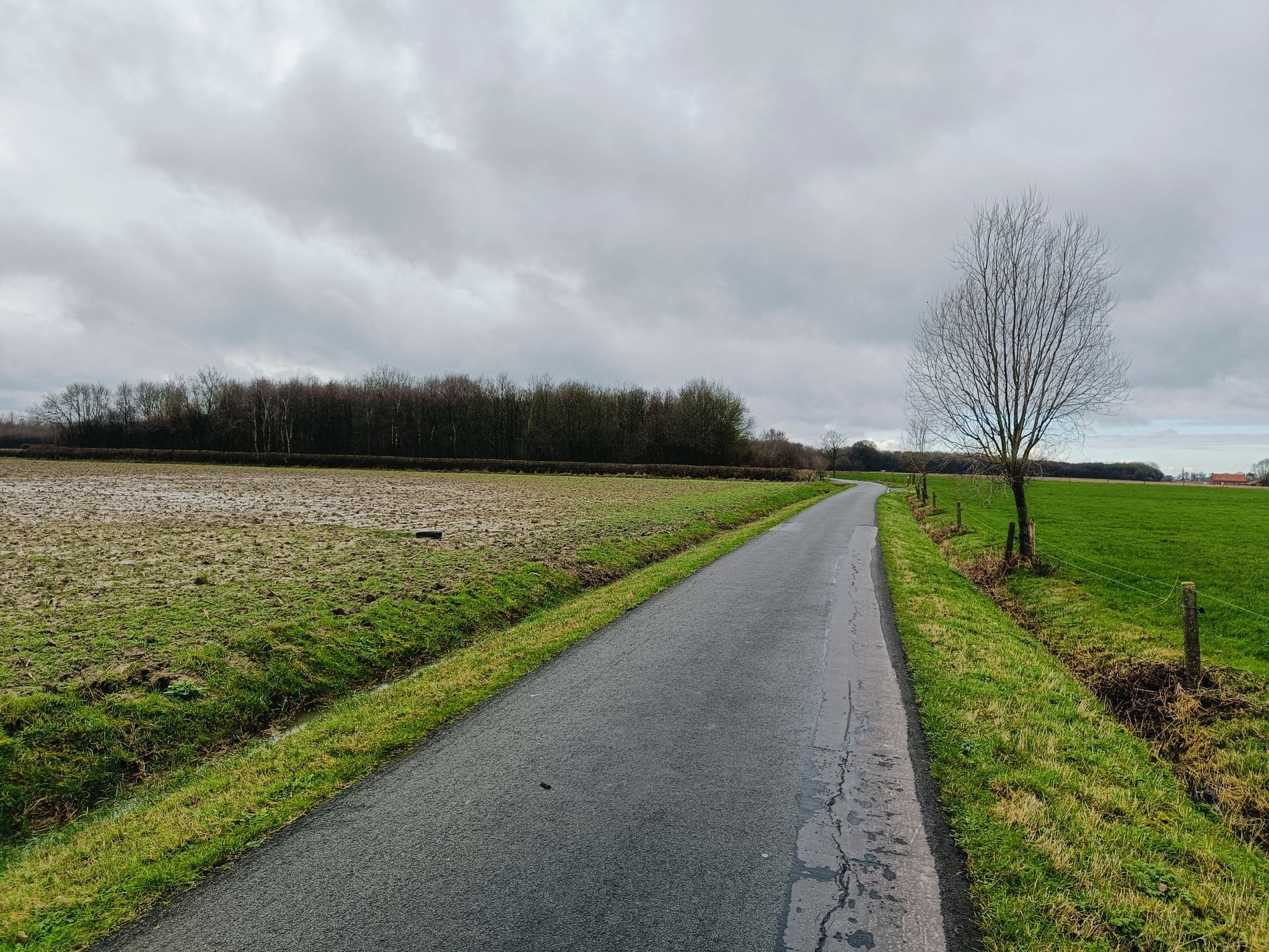 Huwynsbossen