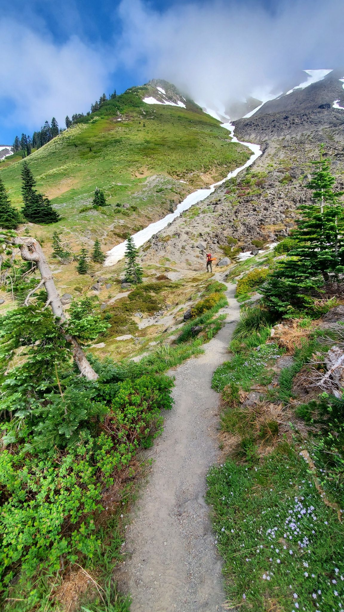 A hiker on a winding trail up a green, snow-dusted mountain. - Loowit Trail