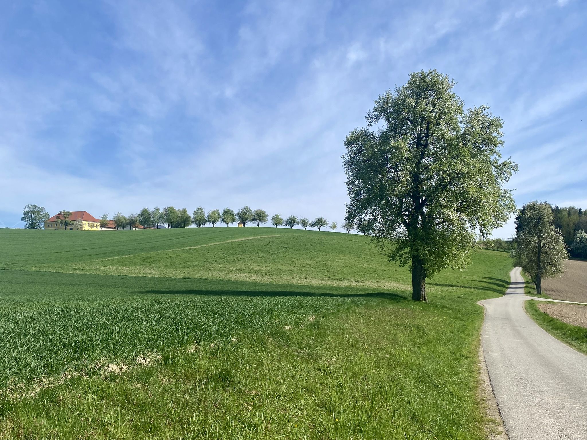 südlich Pötting