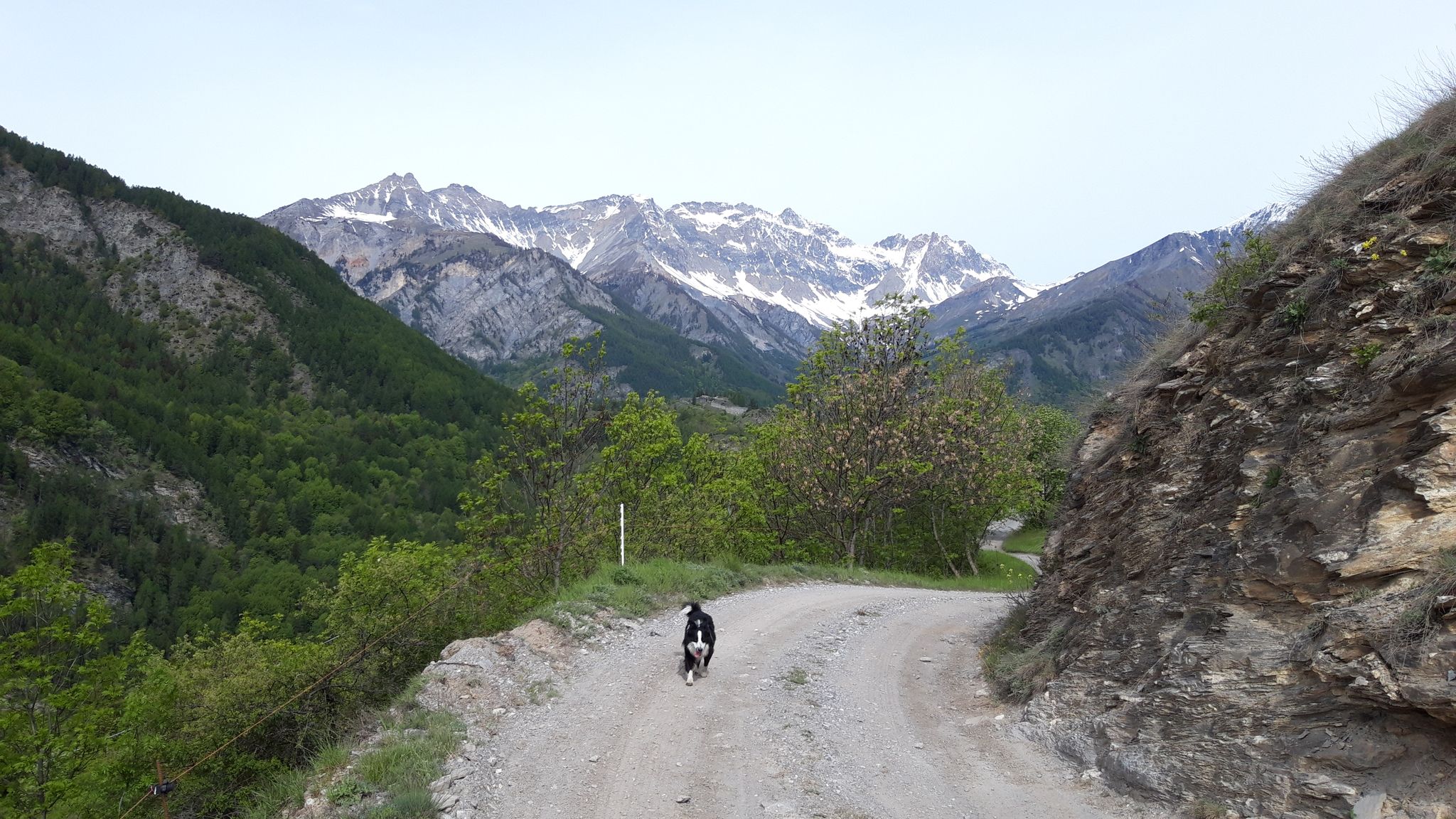 Stradone sterrato verso Millaures, un quarto d'ora a Bardonecchia