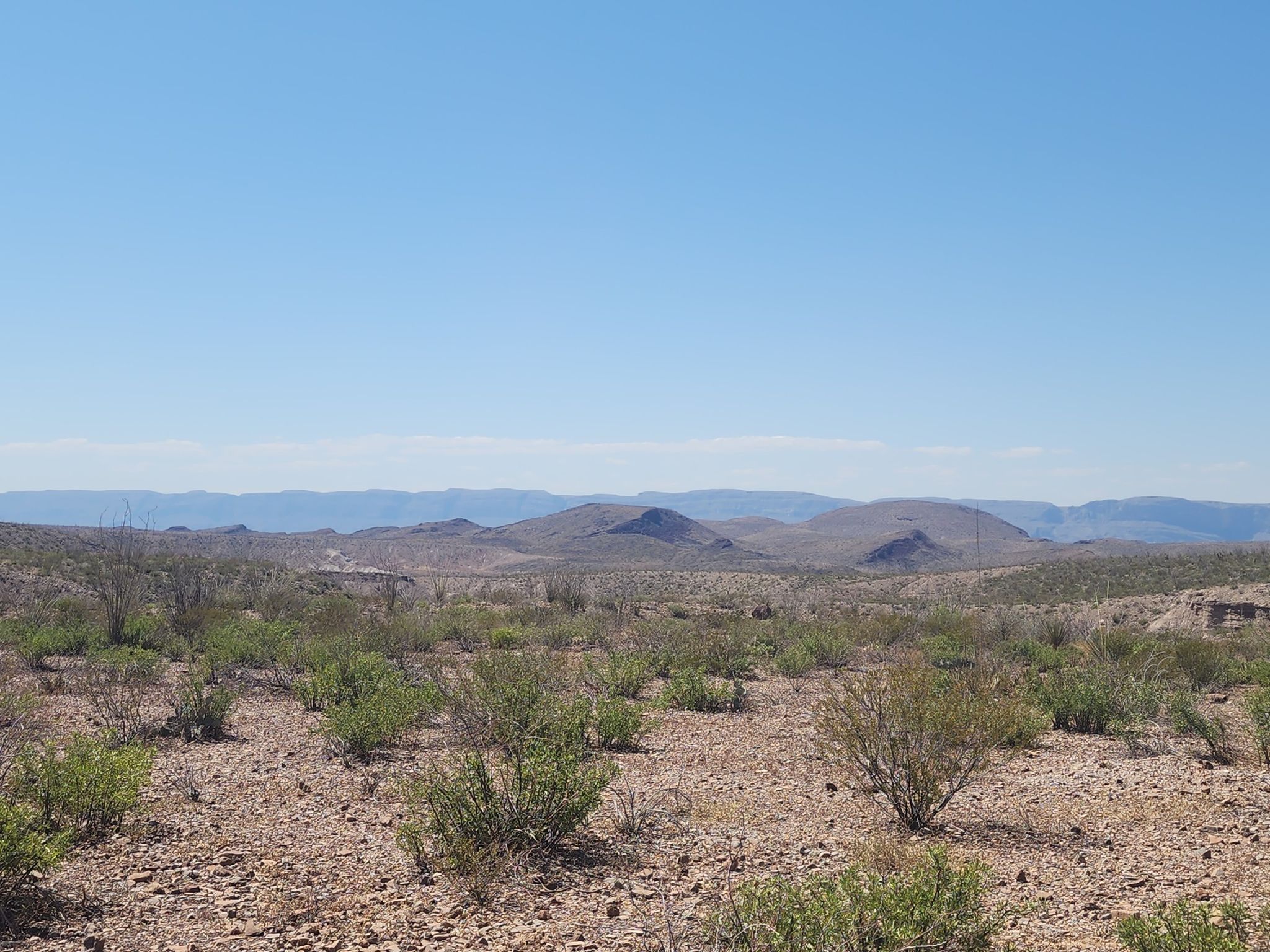Vast desert landscape with sparse brush and distant mountains under clear sky. - Mule Ears Trail