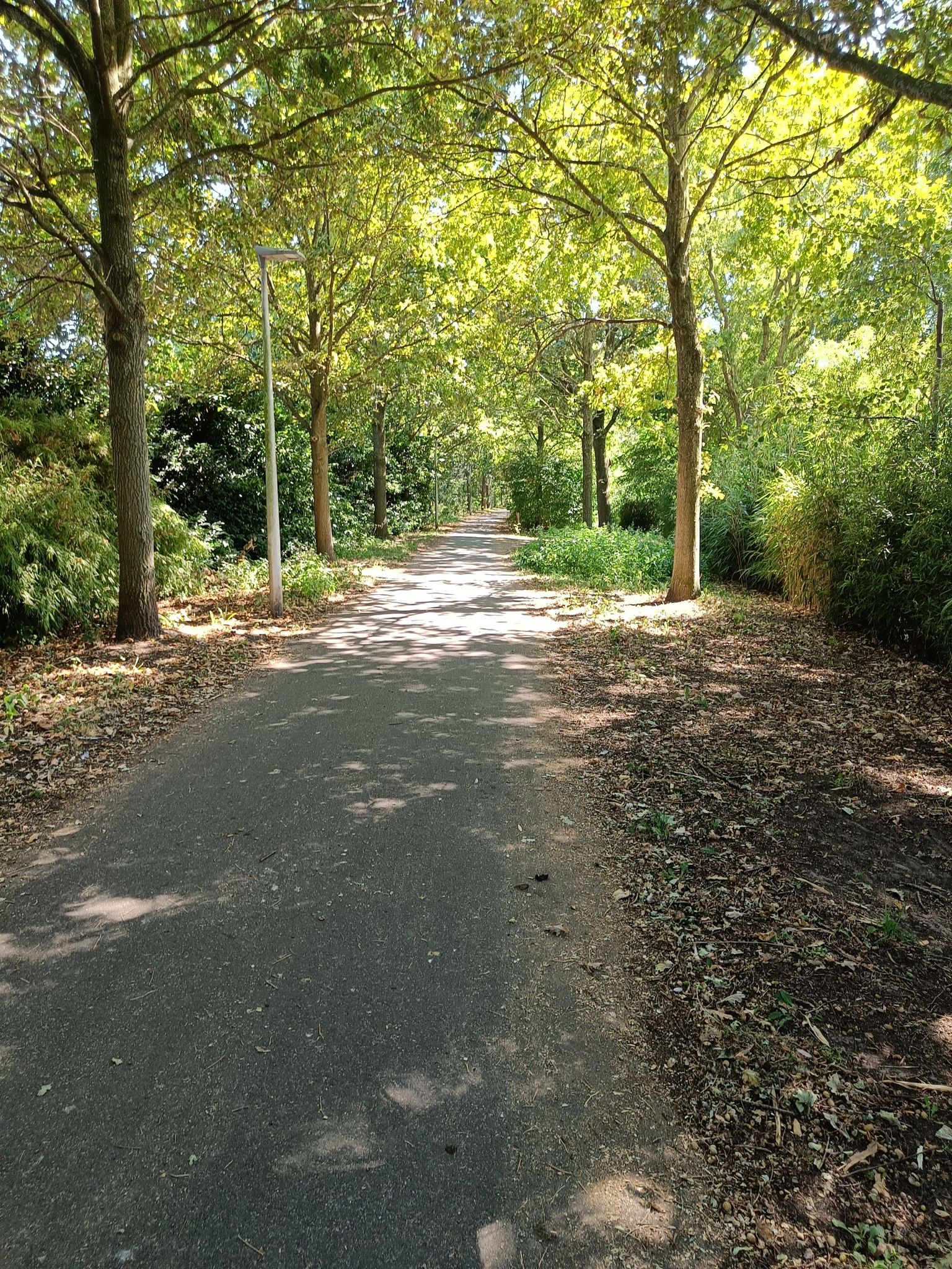 Fietssnelweg Avelgem - Kortrijk
