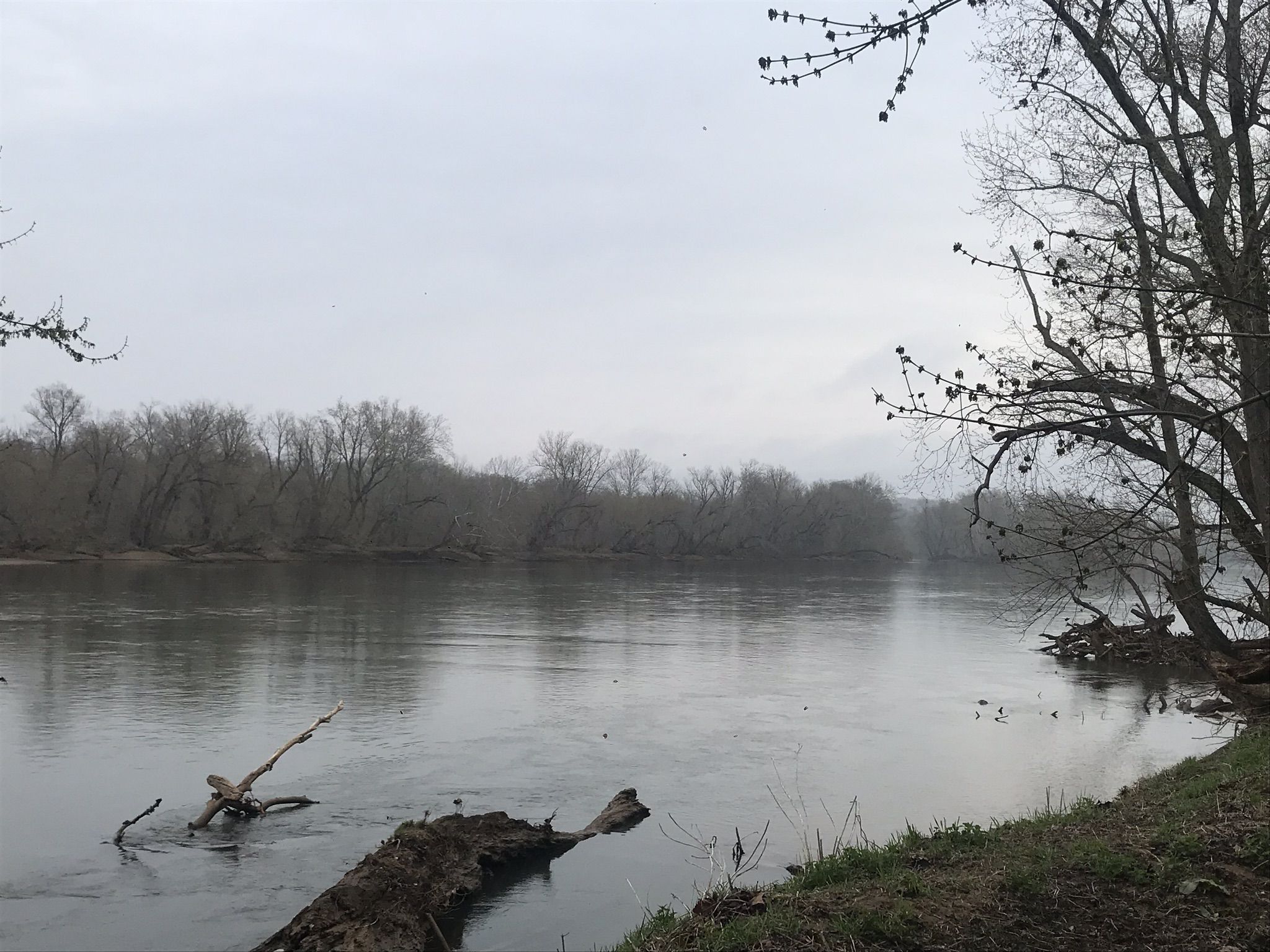A wide river on an overcast day, with bare trees and fallen logs. - Seneca Bridle Trail to Potomac Heritage Trail Loop